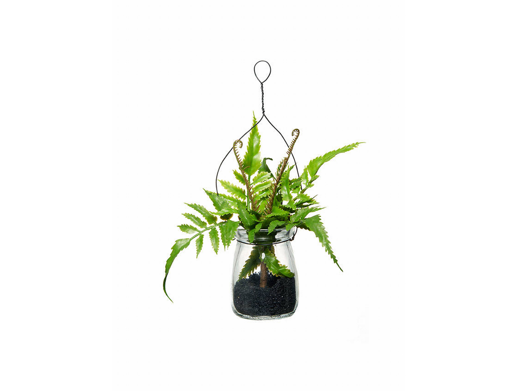 Artificial ferns in hanging glass vase