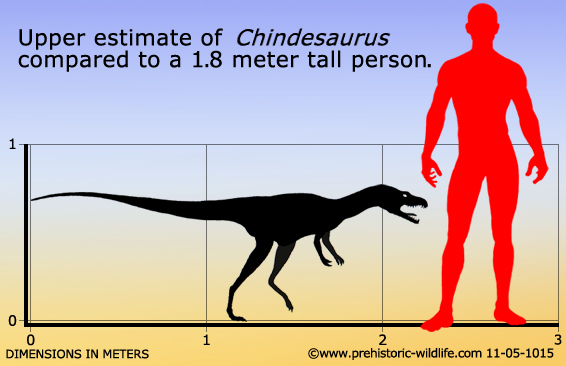 The size of the chindesaurus compared to that of a human (prehistoric-wildlife.com/Darren Pepper)