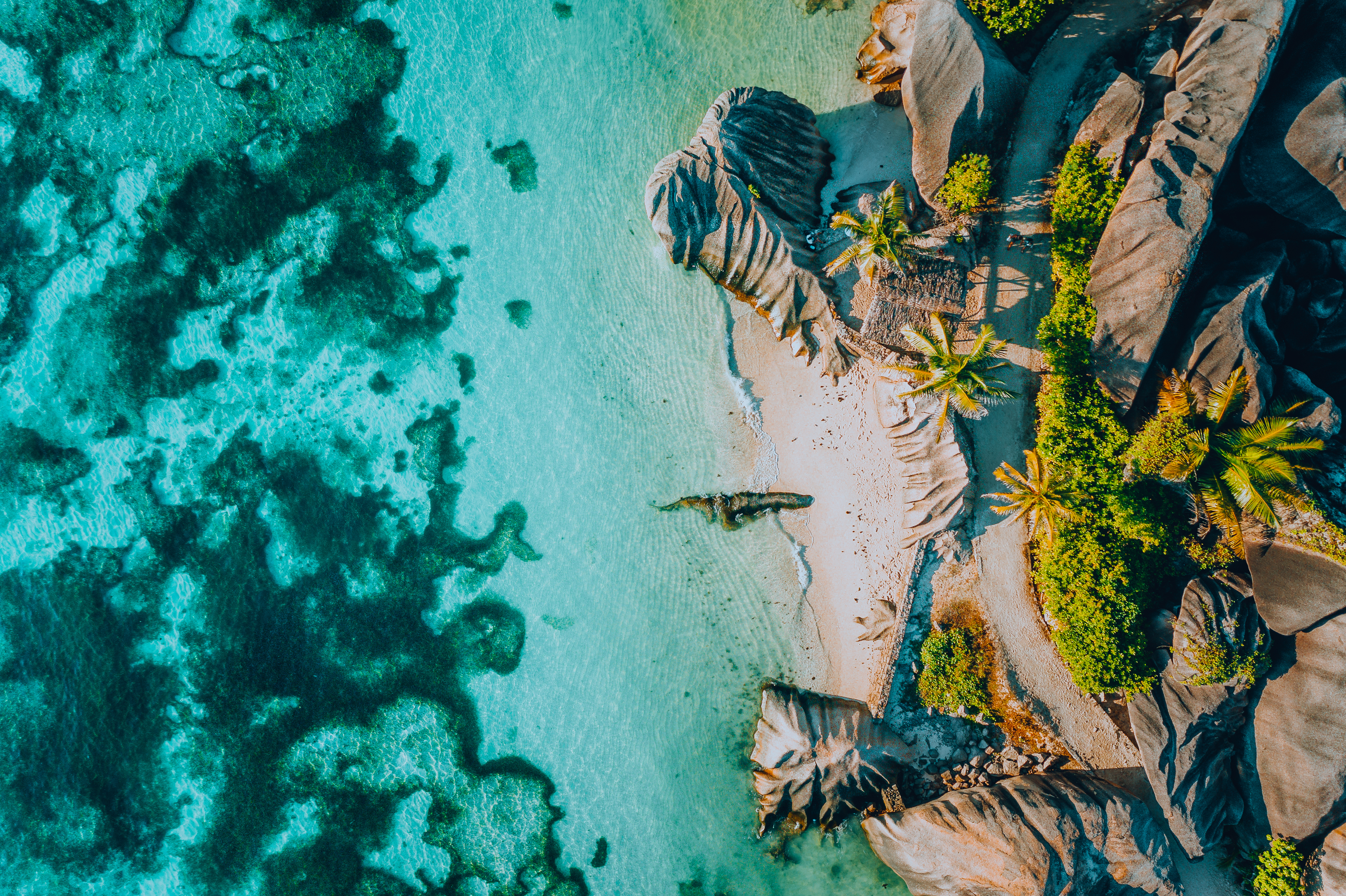 The Seychelles