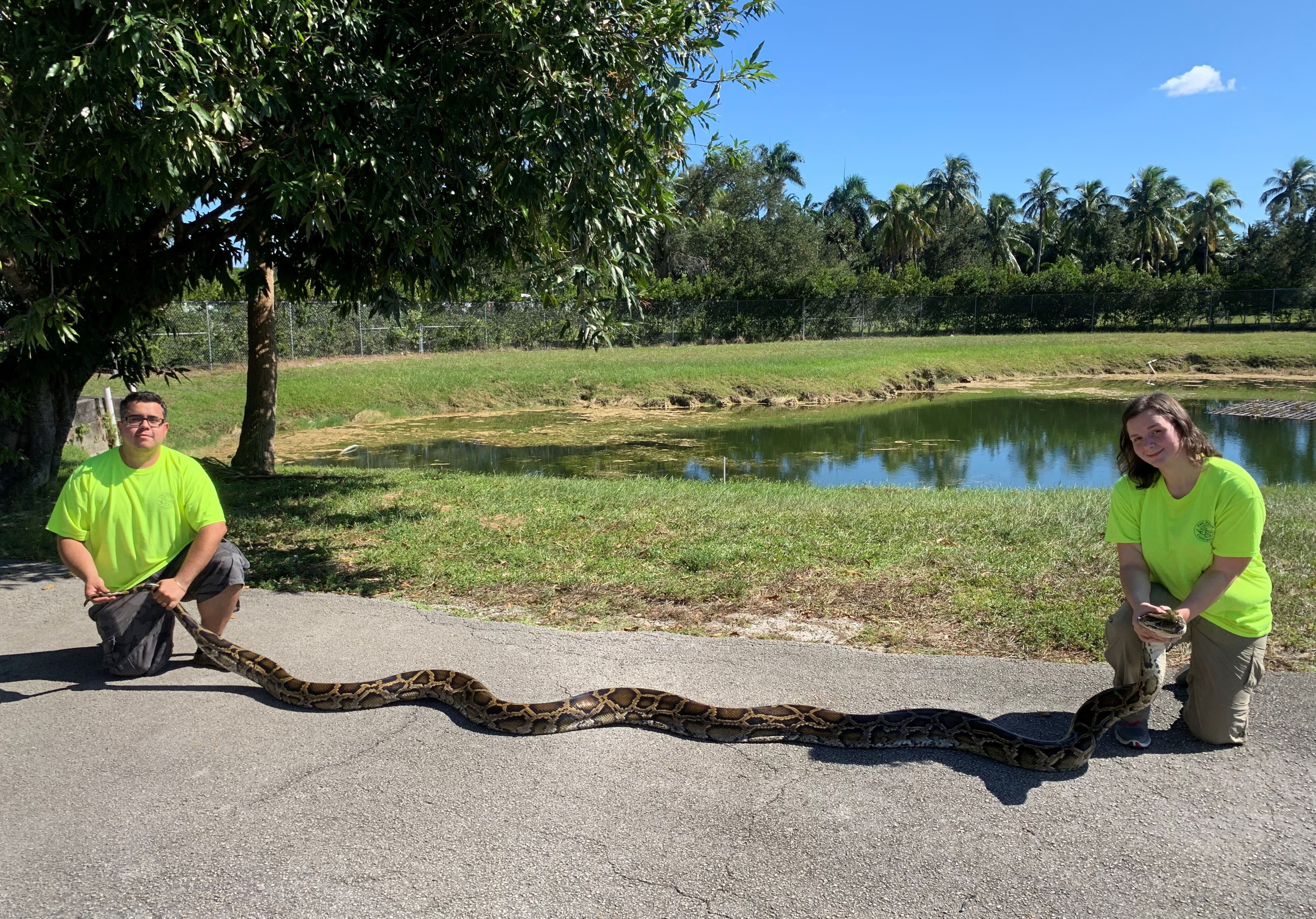 фотография самой большой змеи