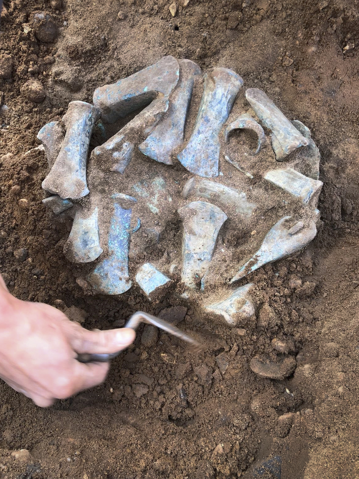Excavation of the Havering Hoard 