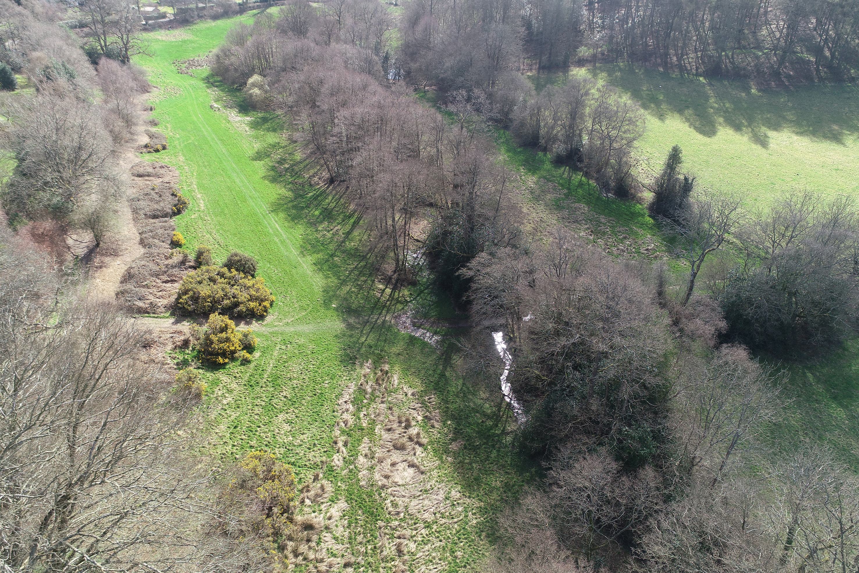 An aerial view of the area at Valewood where the beavers will be (National Trust/PA)