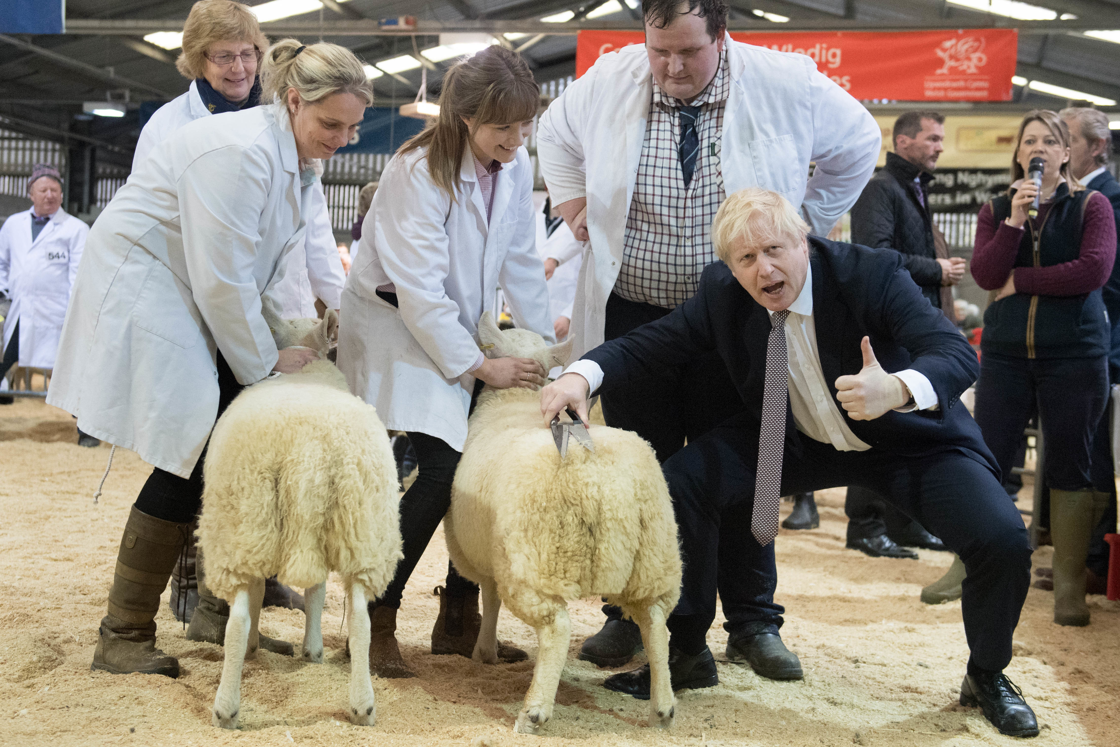 Prime Minister Boris Johnson tried his hand at sheep-shearing at the Royal Welsh Showground in Llanelwedd, Builth Wells