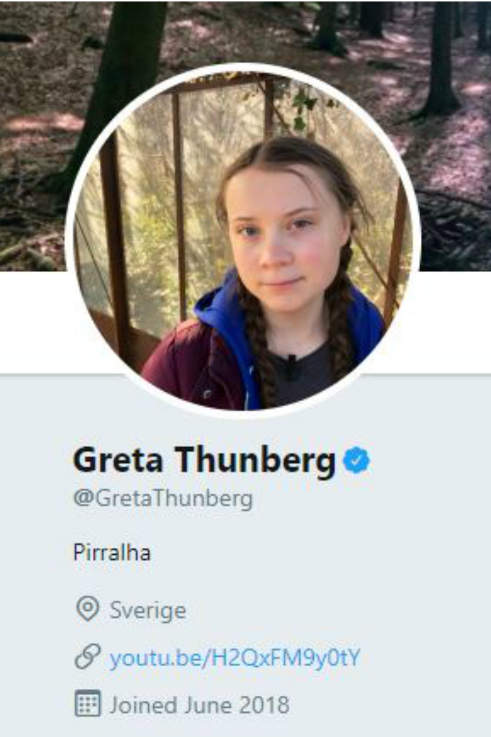 Greta Thunberg Twitter