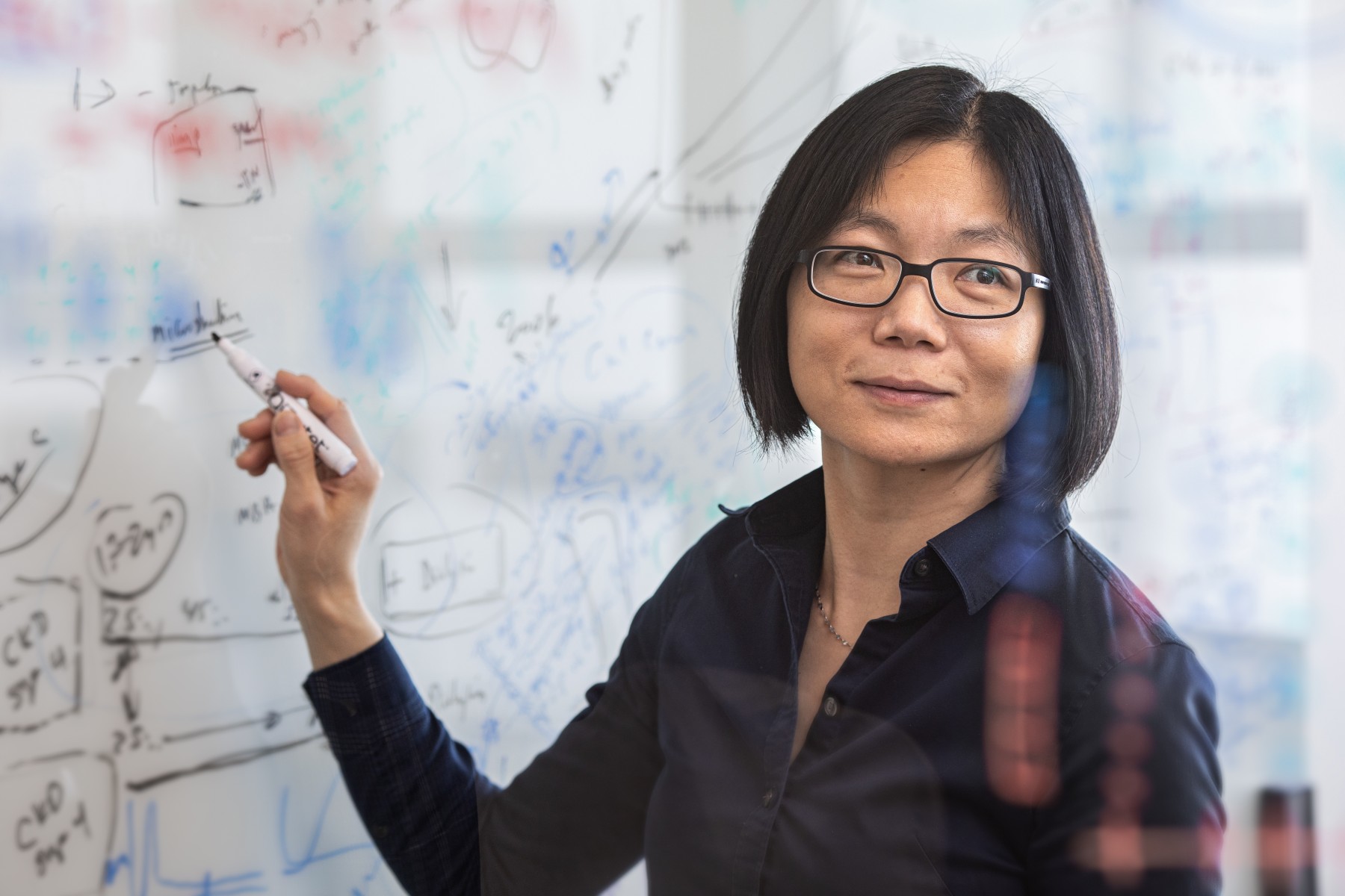 Dr Susan Cheng.