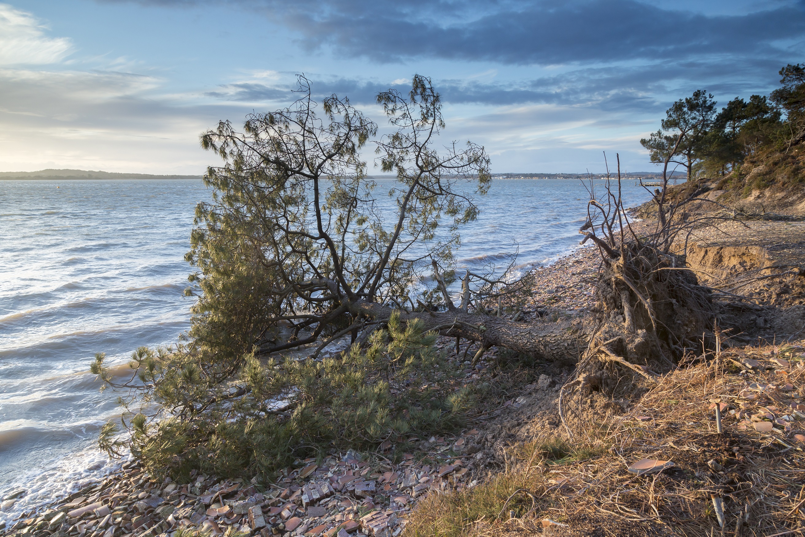 Coastal areas such as Brownsea Island, Dorset, are among the most at risk (John Miller/National Trust Images/PA)