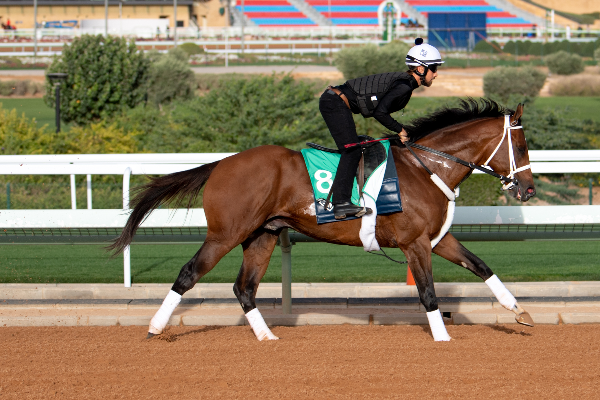 Maximum Security goes through his paces on the Riyadh dirt track