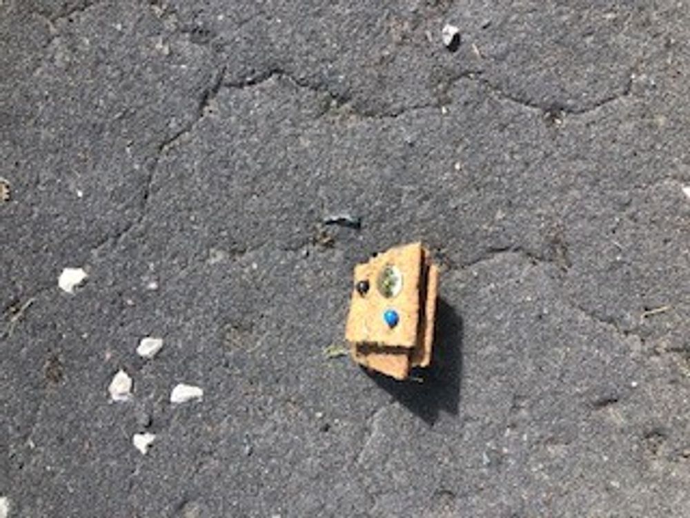 Dog biscuit with pins through it