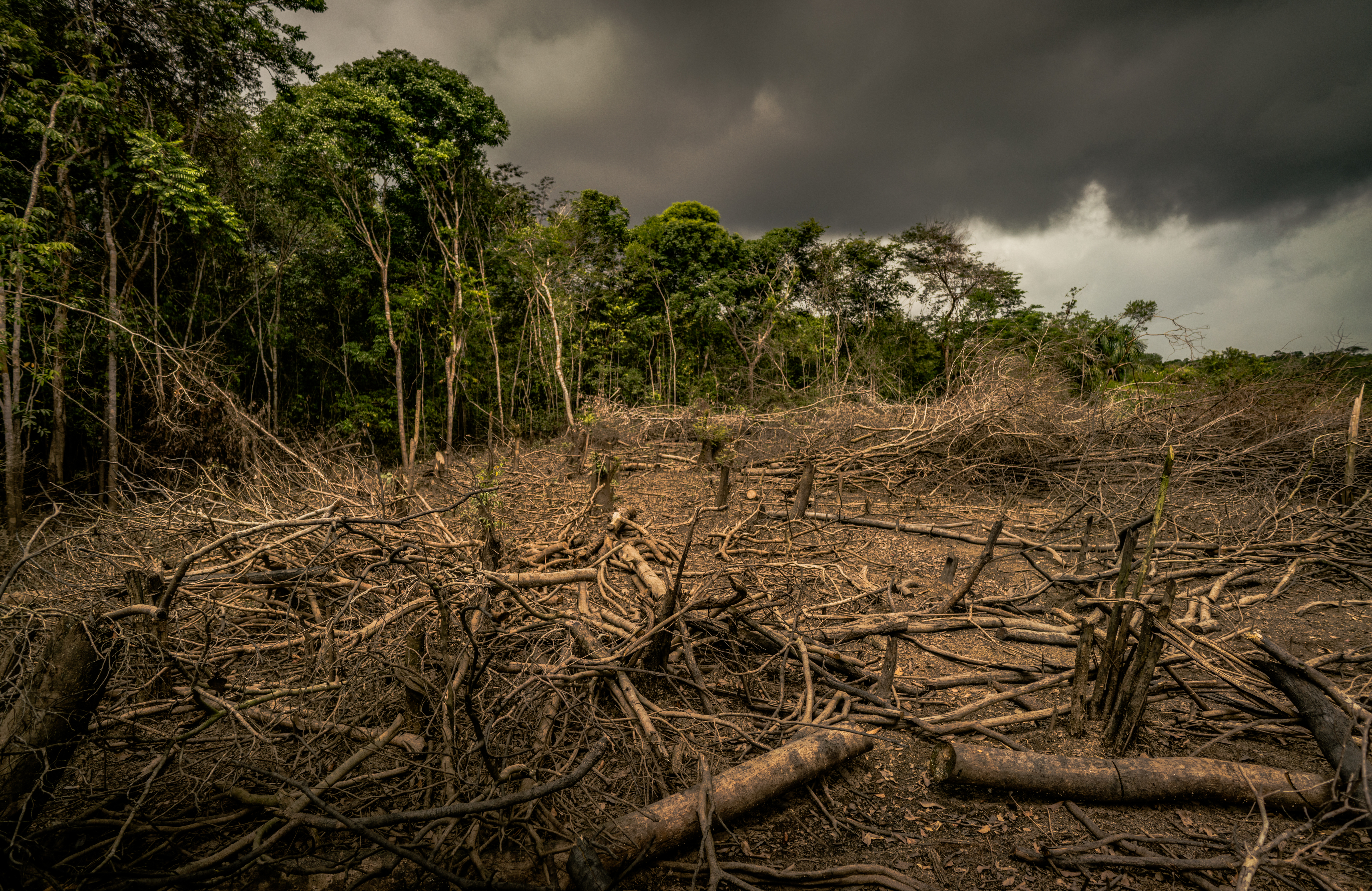 Amazon deforestation, Colombia.