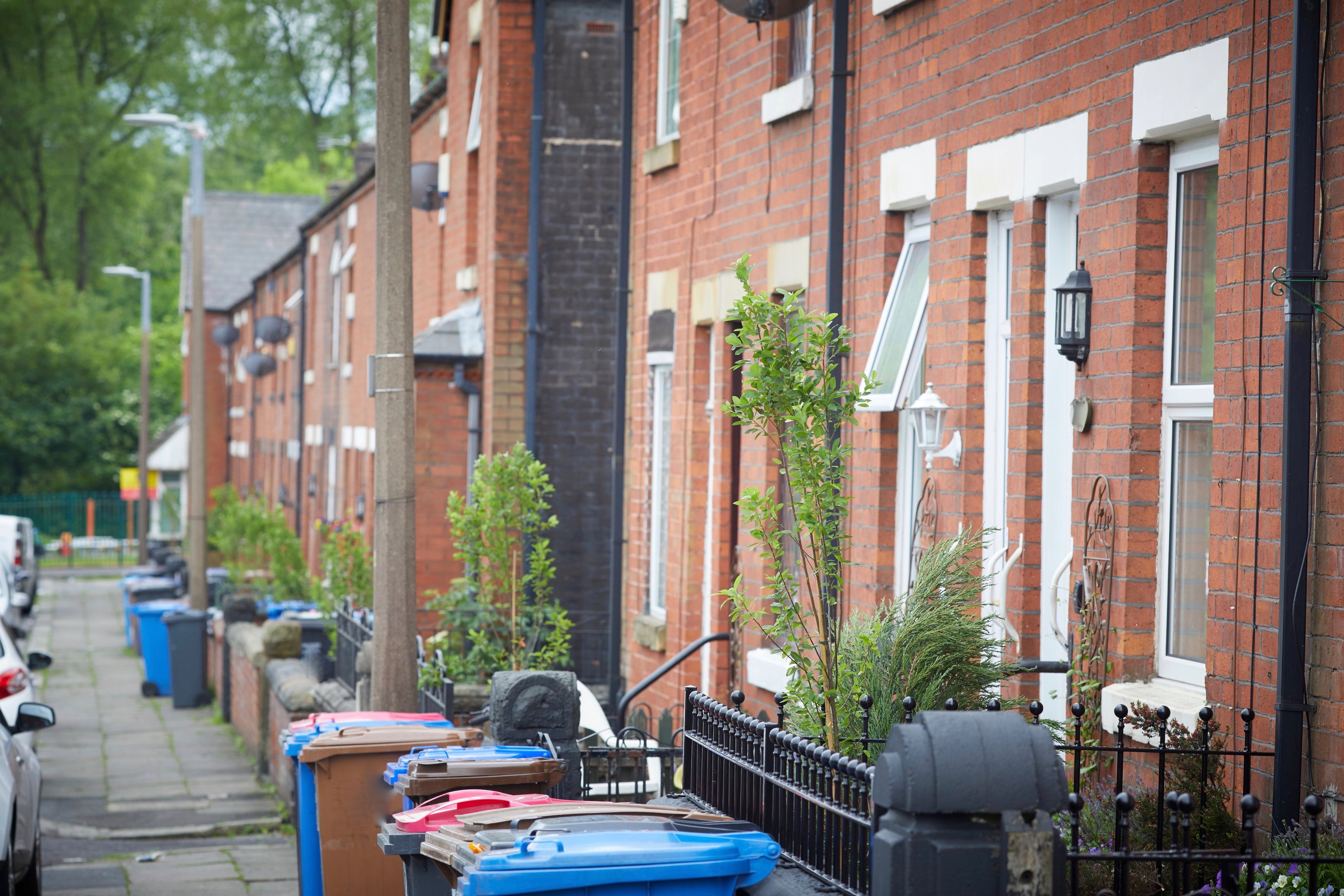 Row of newly planted snowy mespilus in front gardens (Anna Da Silva/ RHS images/PA)