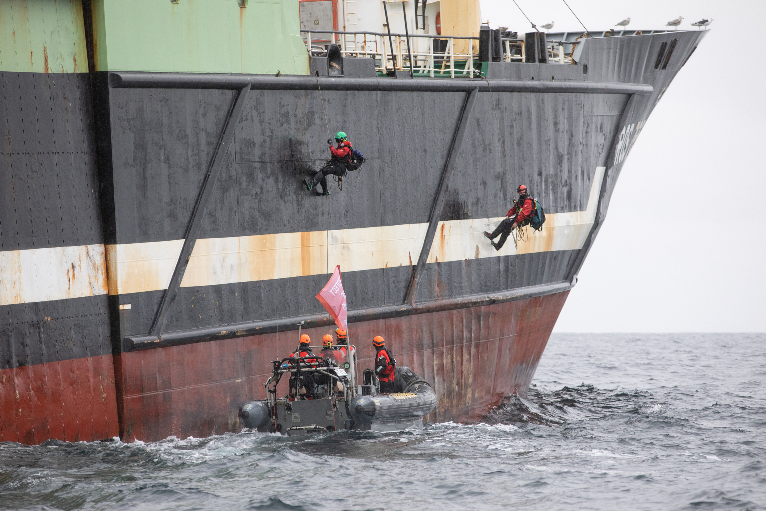 Greenpeace activists board the Helen Mary supertrawler 