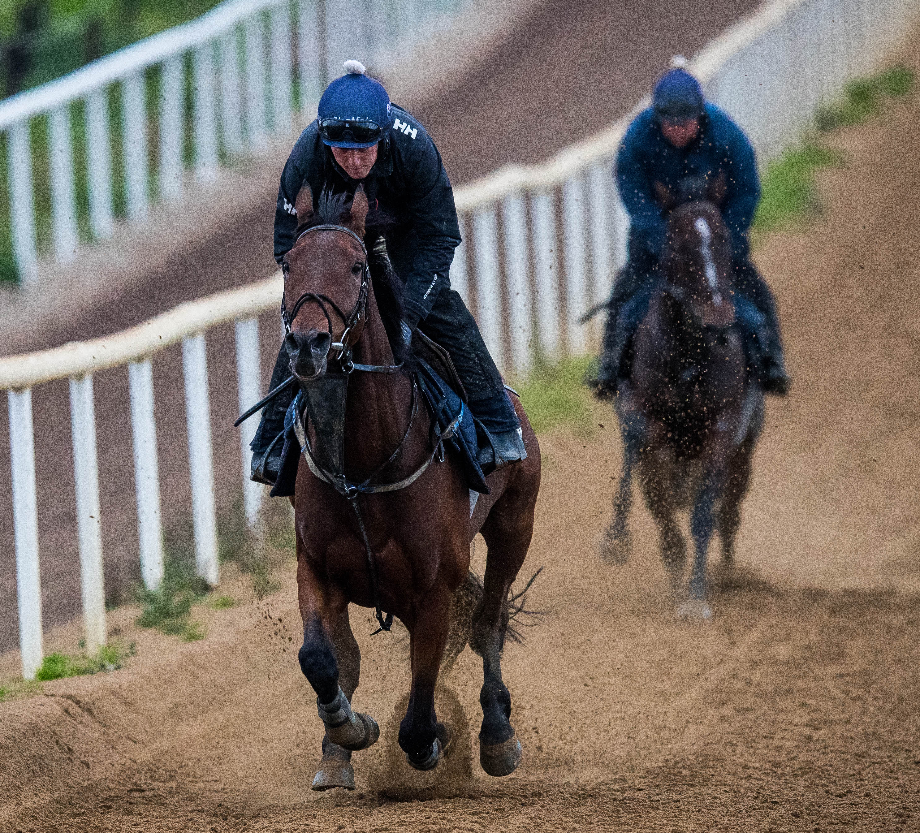 Presenting Percy on the gallops on Monday morning (