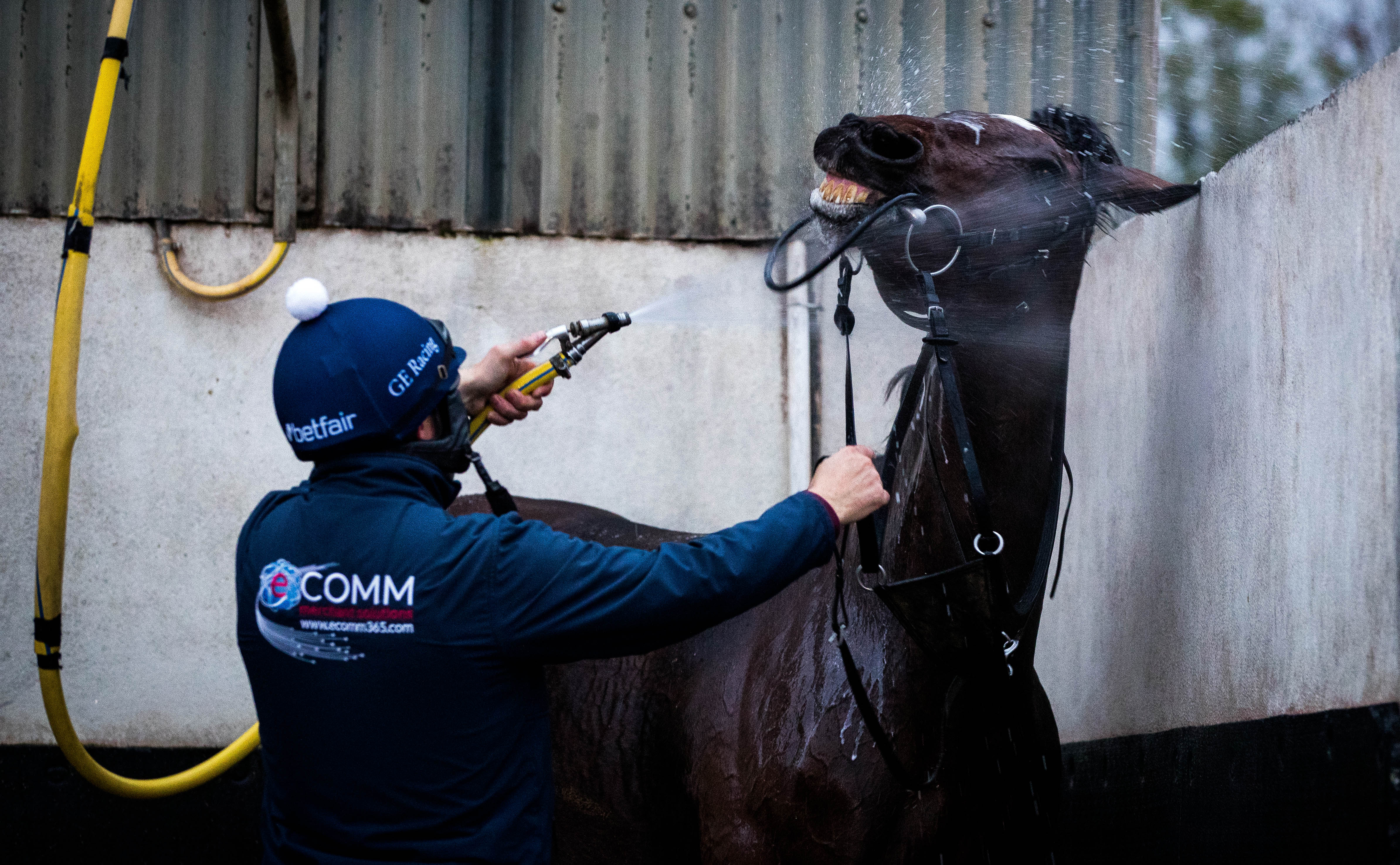 Tiger Roll enjoys a Monday morning shower