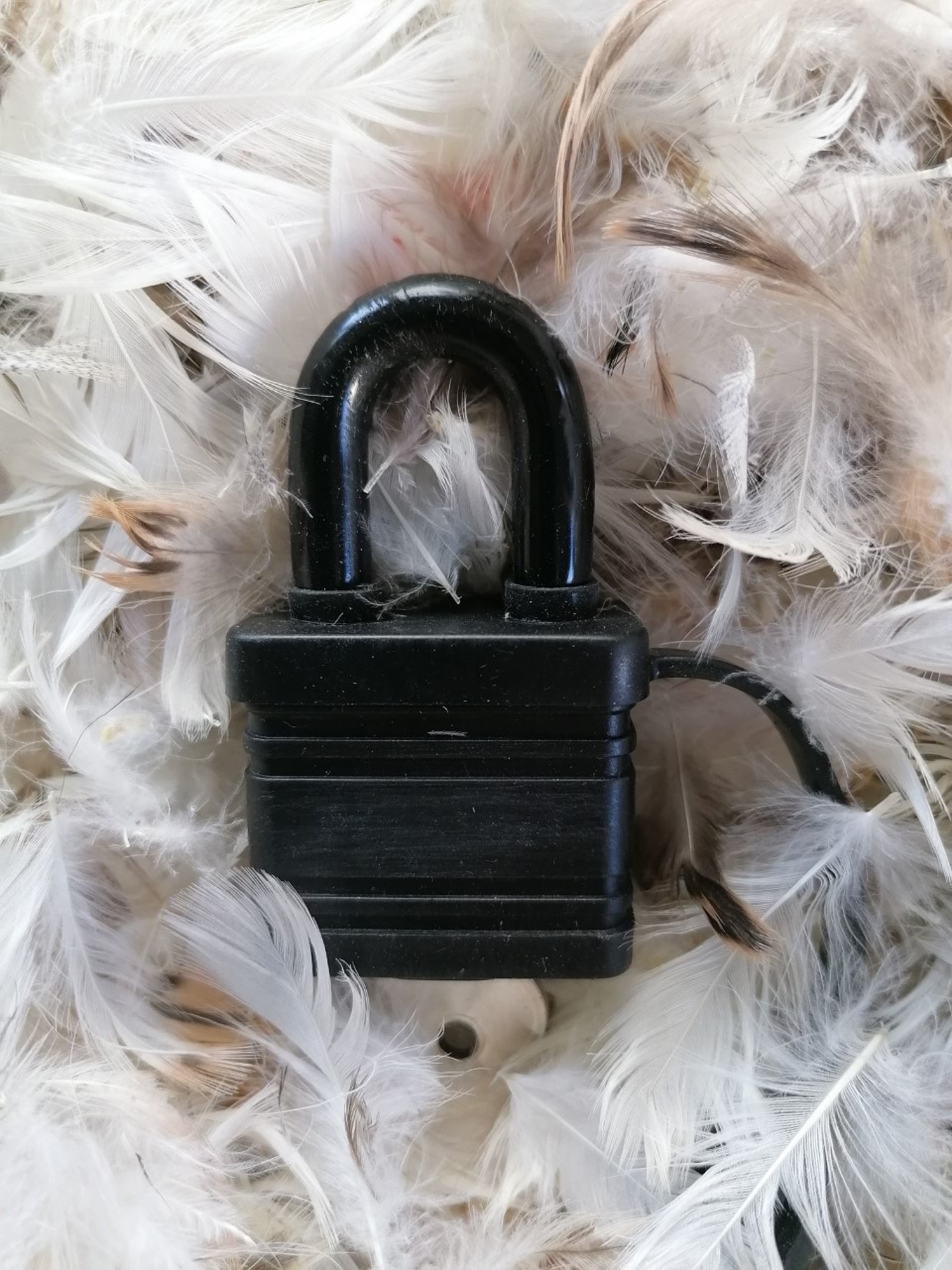 Herewe Goagain's entry is entitled, Lockdown, and is a padlock on top of a pile of duck down feathers (Turnip Prize/PA)