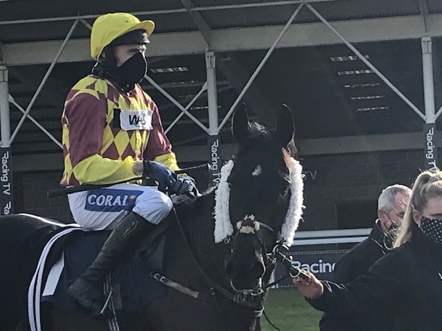 Umbrigado was a winner at Wetherby last week