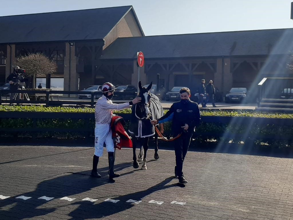 Black Tears after winning at Punchestown