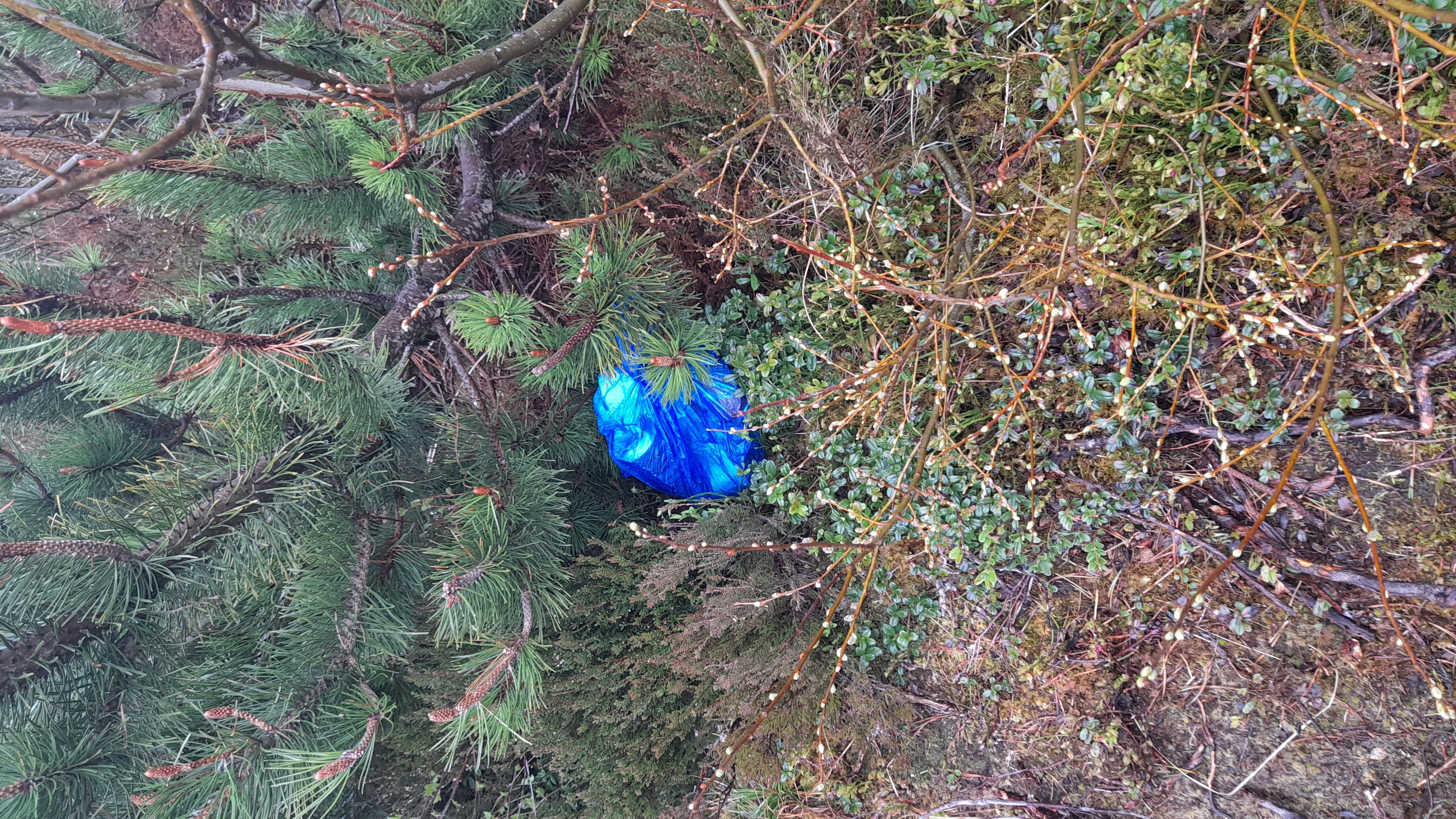 Bag of rubbish