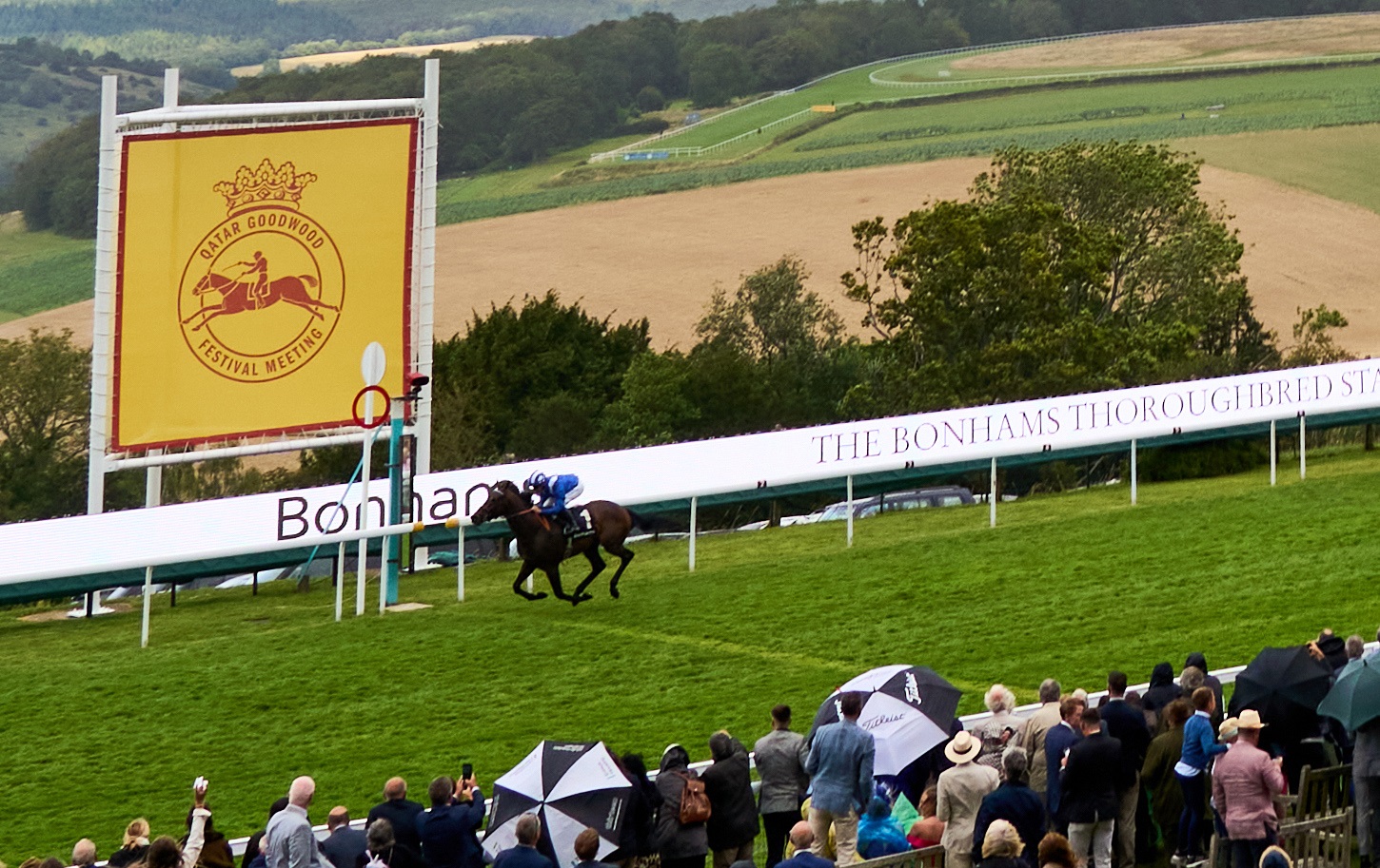 Baaeed was brilliant at Goodwood