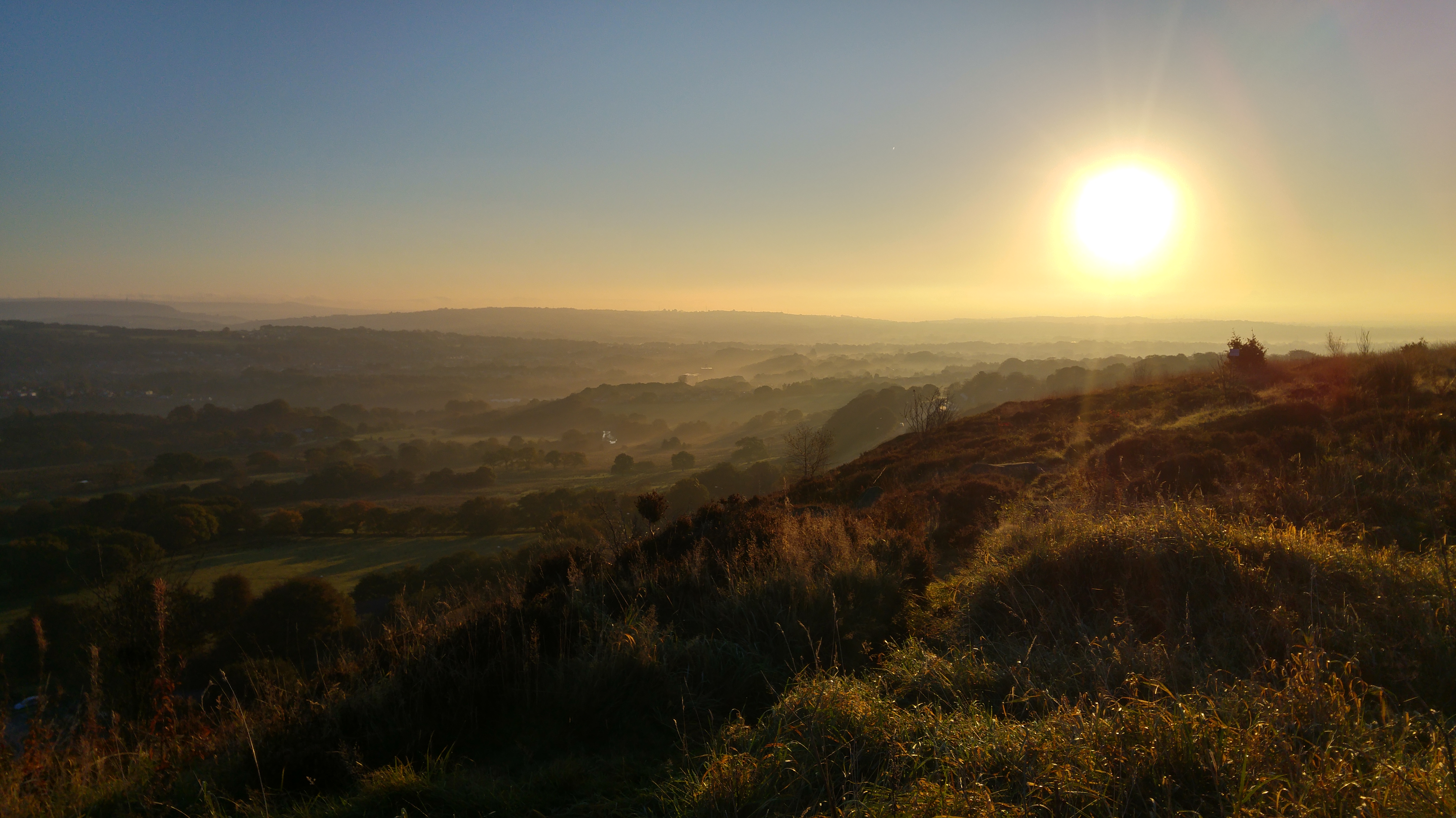 The funding will help increase woodland cover (The Woodland Trust/PA)