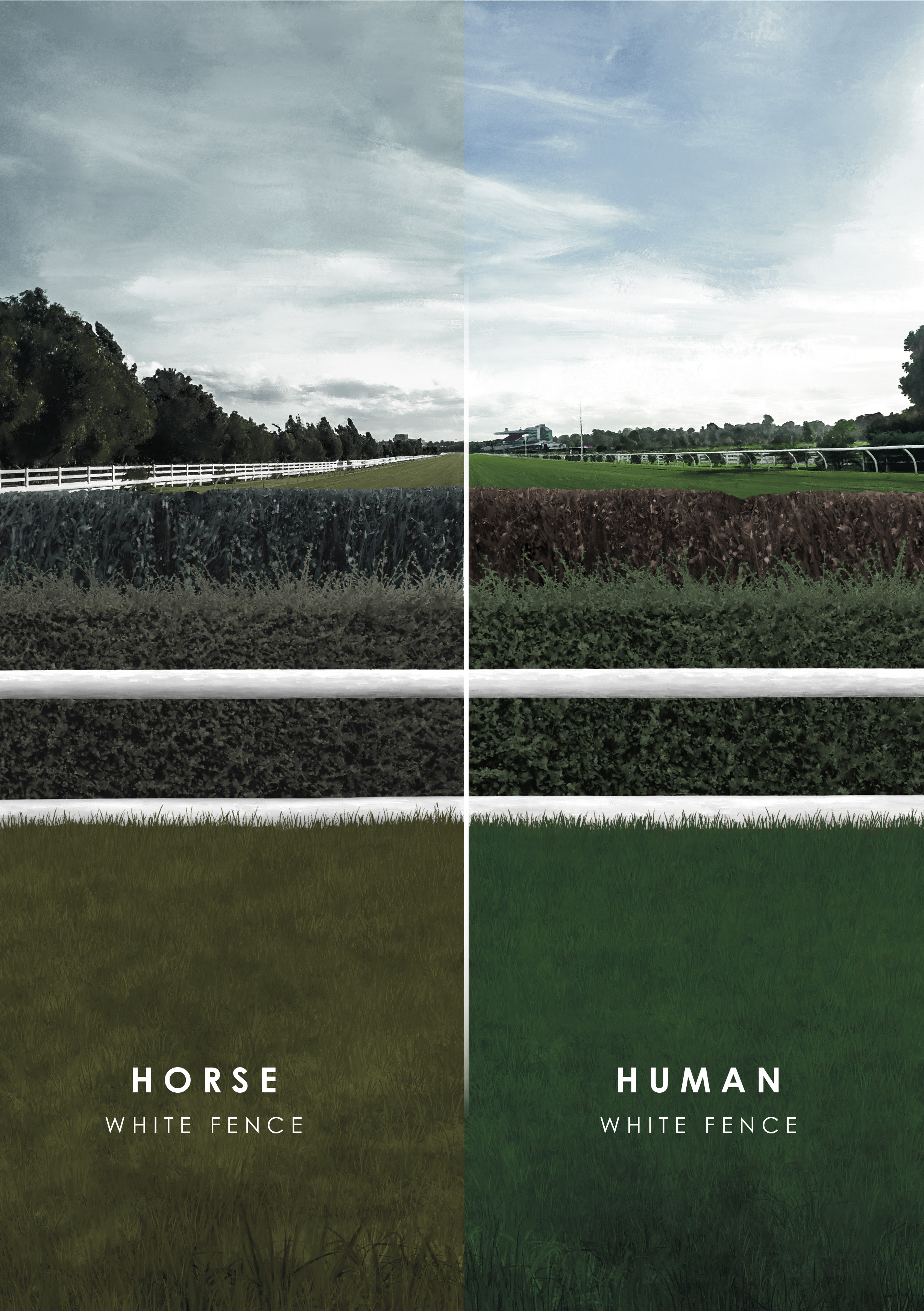 The new white obstacles as viewed by horses and humans
