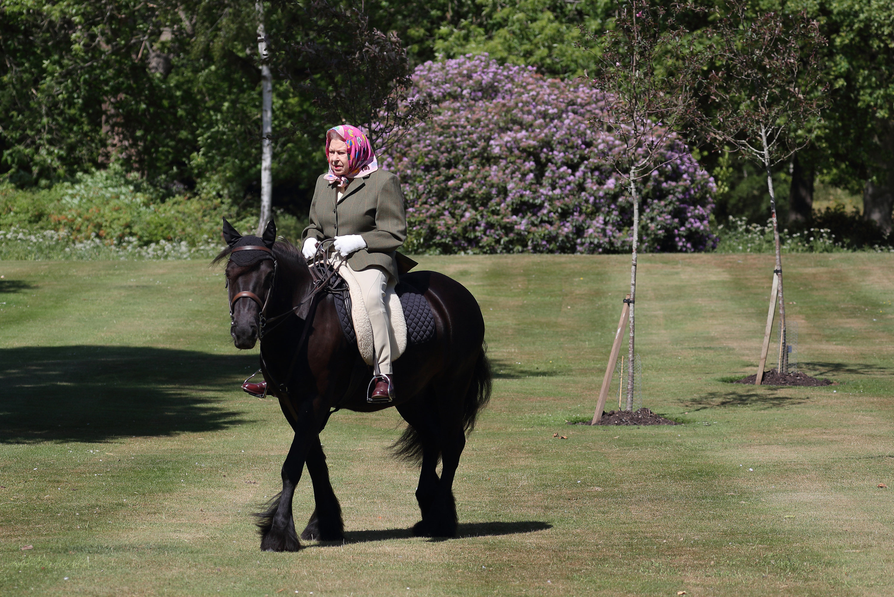 Queen Elizabeth II rides Balmoral Fern, a 14-year-old Fell Pony, in Windsor Home Park