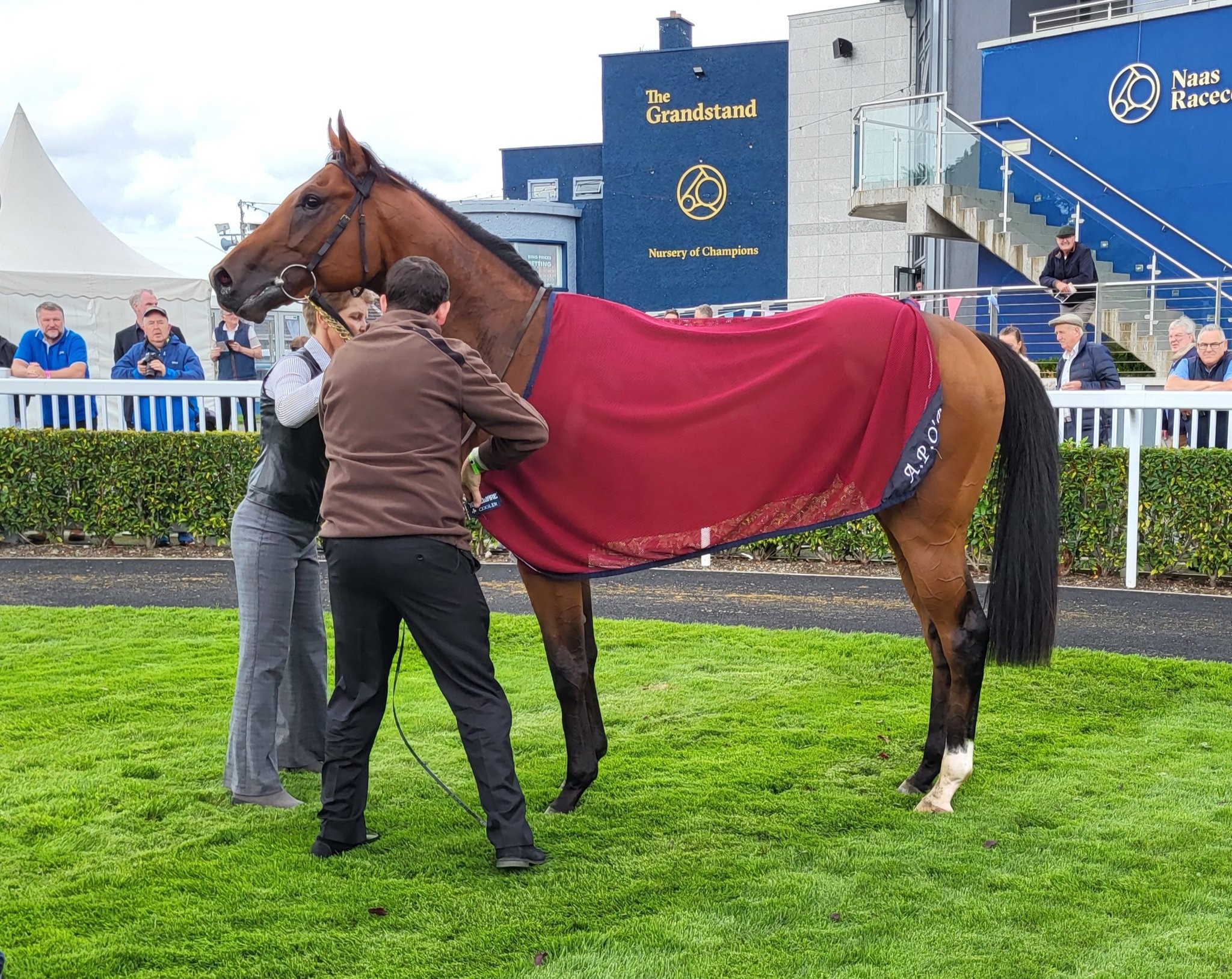 Military made an impressive debut at Naas