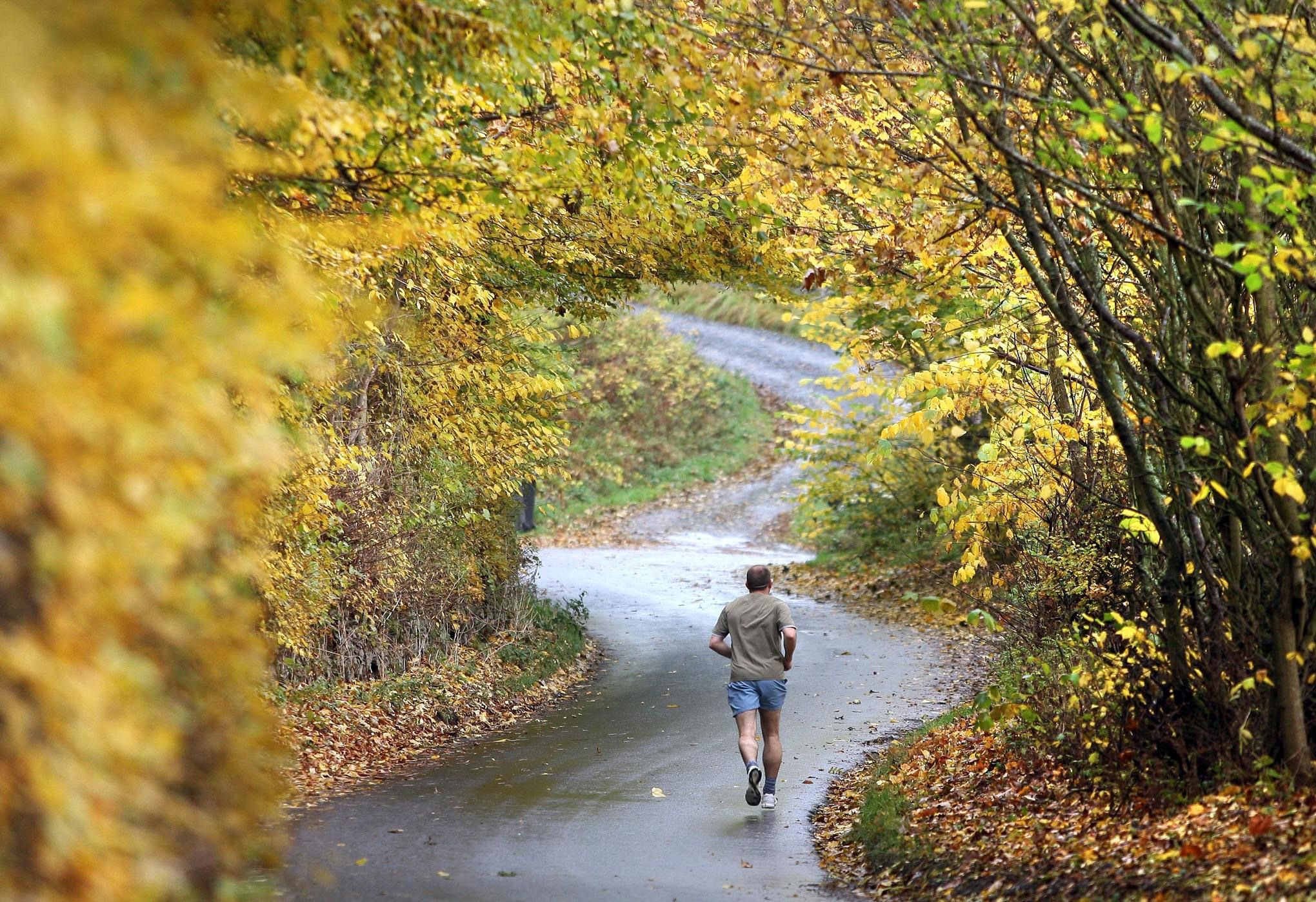 autumn run