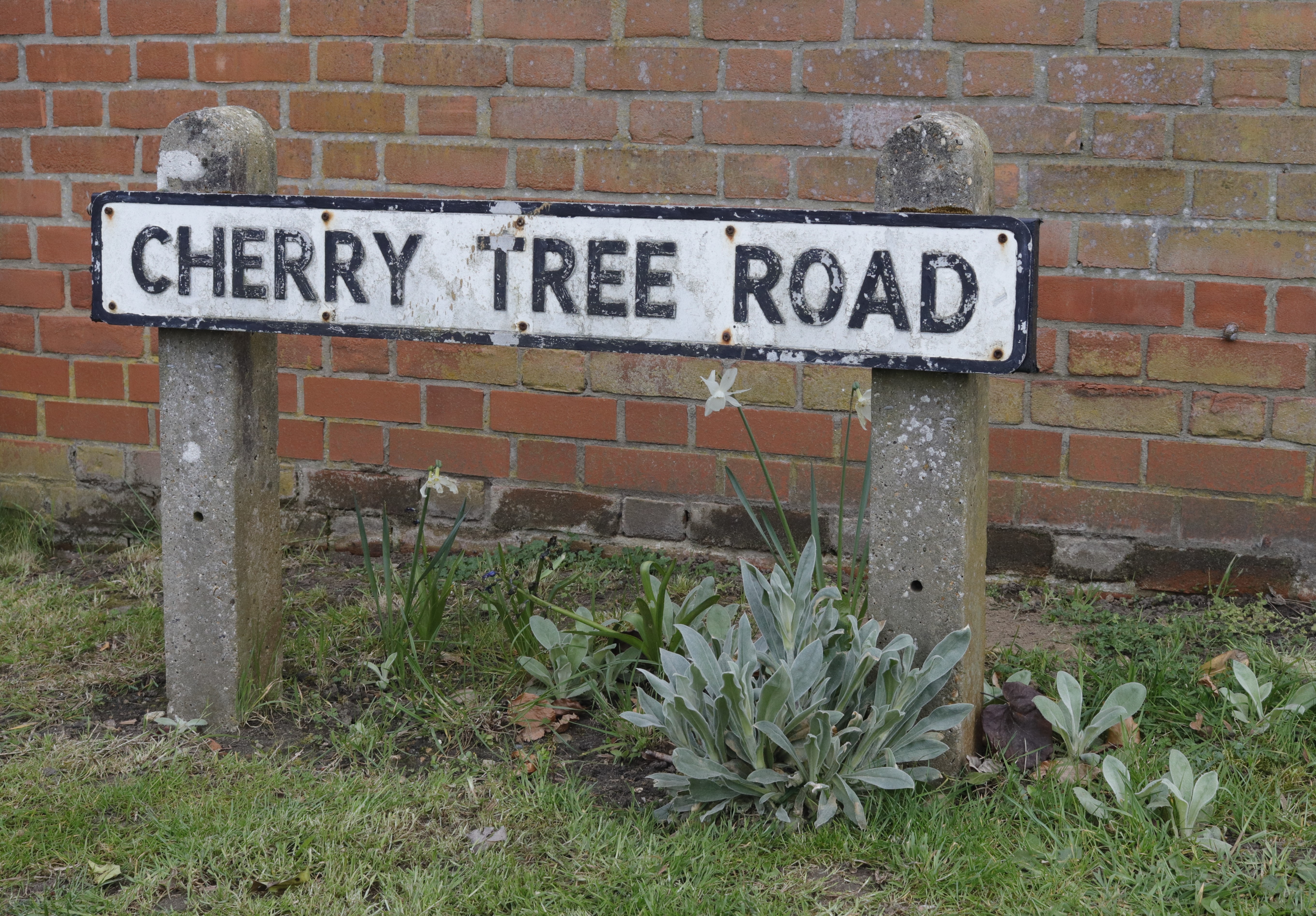 A road sign close to a brick wall, that reads 'Cherry Tree Road'