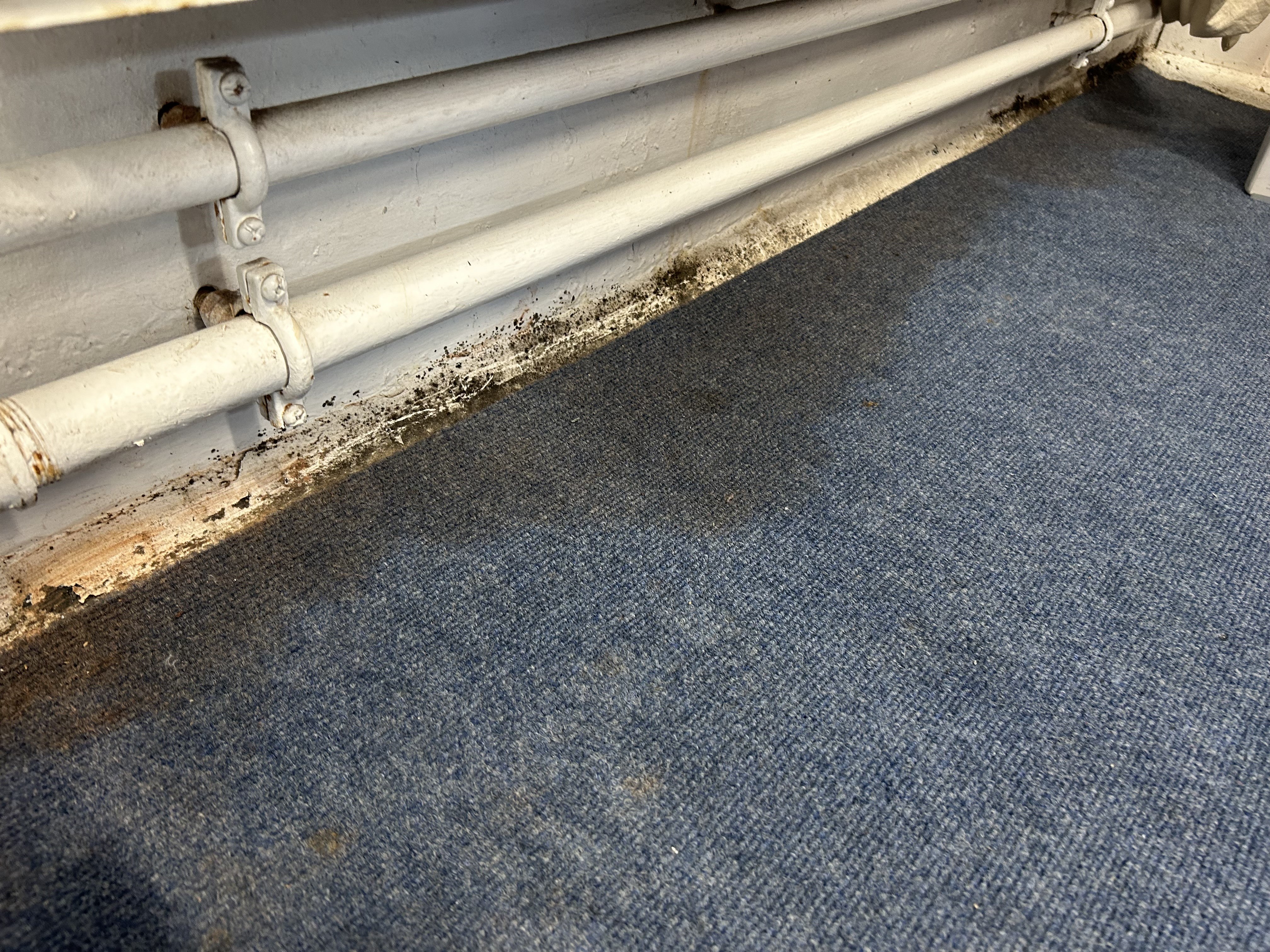 Mould at Spring Gardens Primary School in North Tyneside
