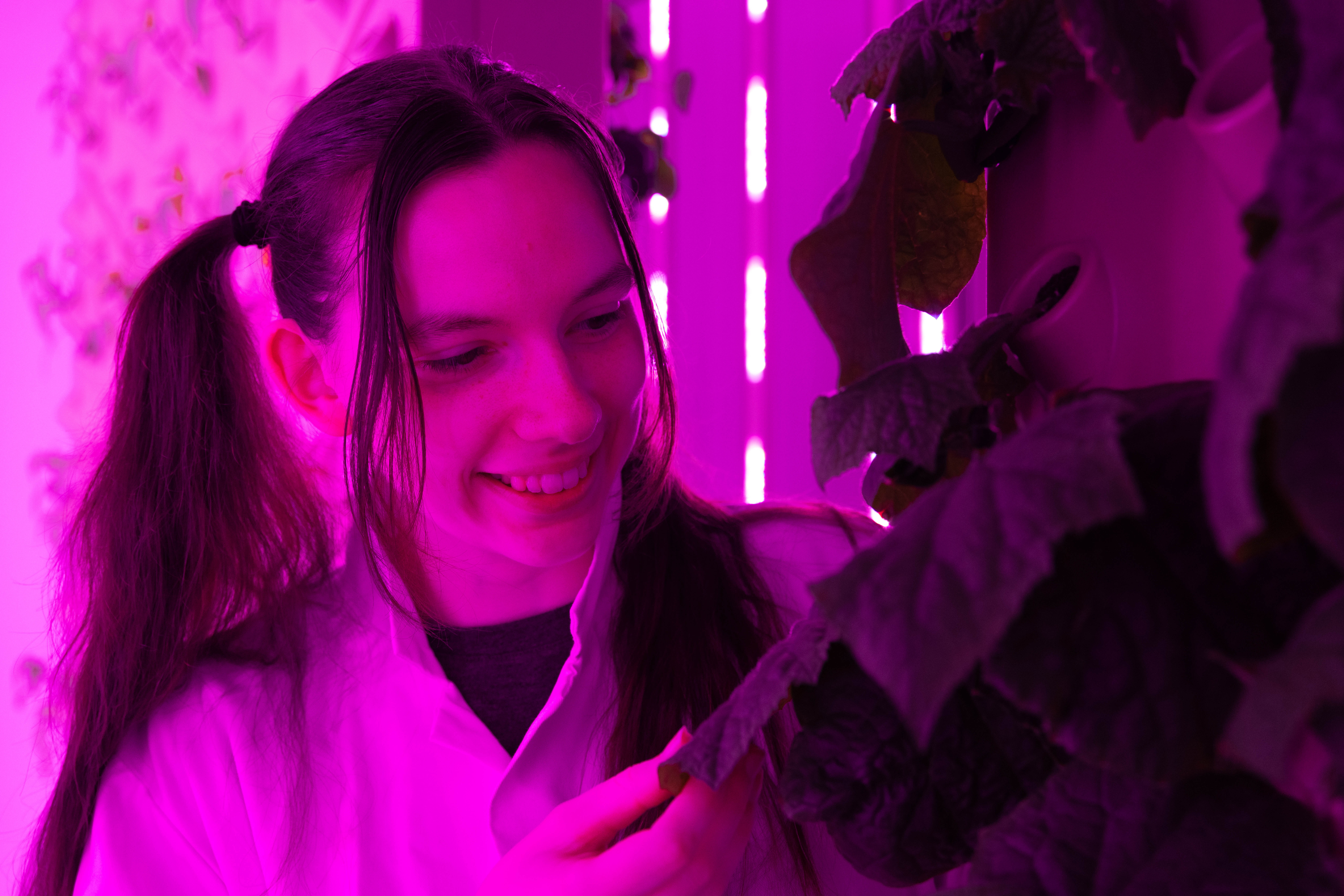 Global sustainability student Kaitlin Campbell, 21, examines a leaf in the vertical farm. (Essex University/ PA)