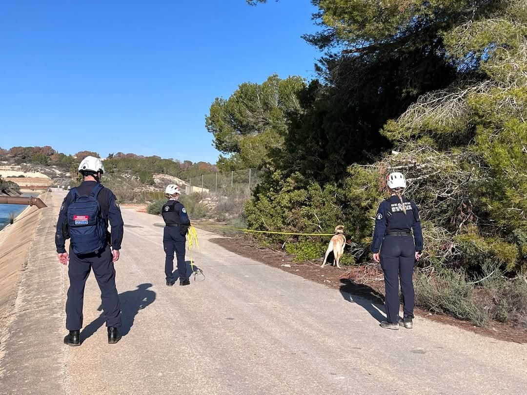 Three people in overalls and a search dog check a tree