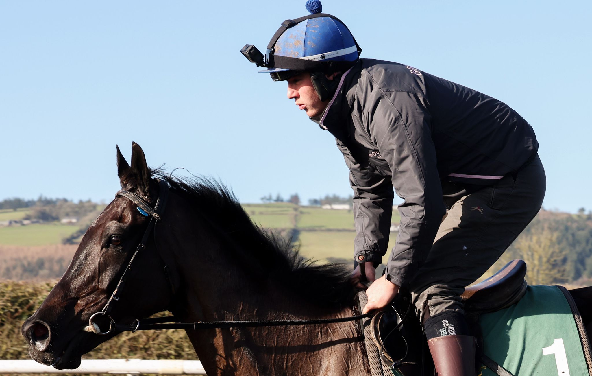 Galopin Des Champs on the Closutton gallops 