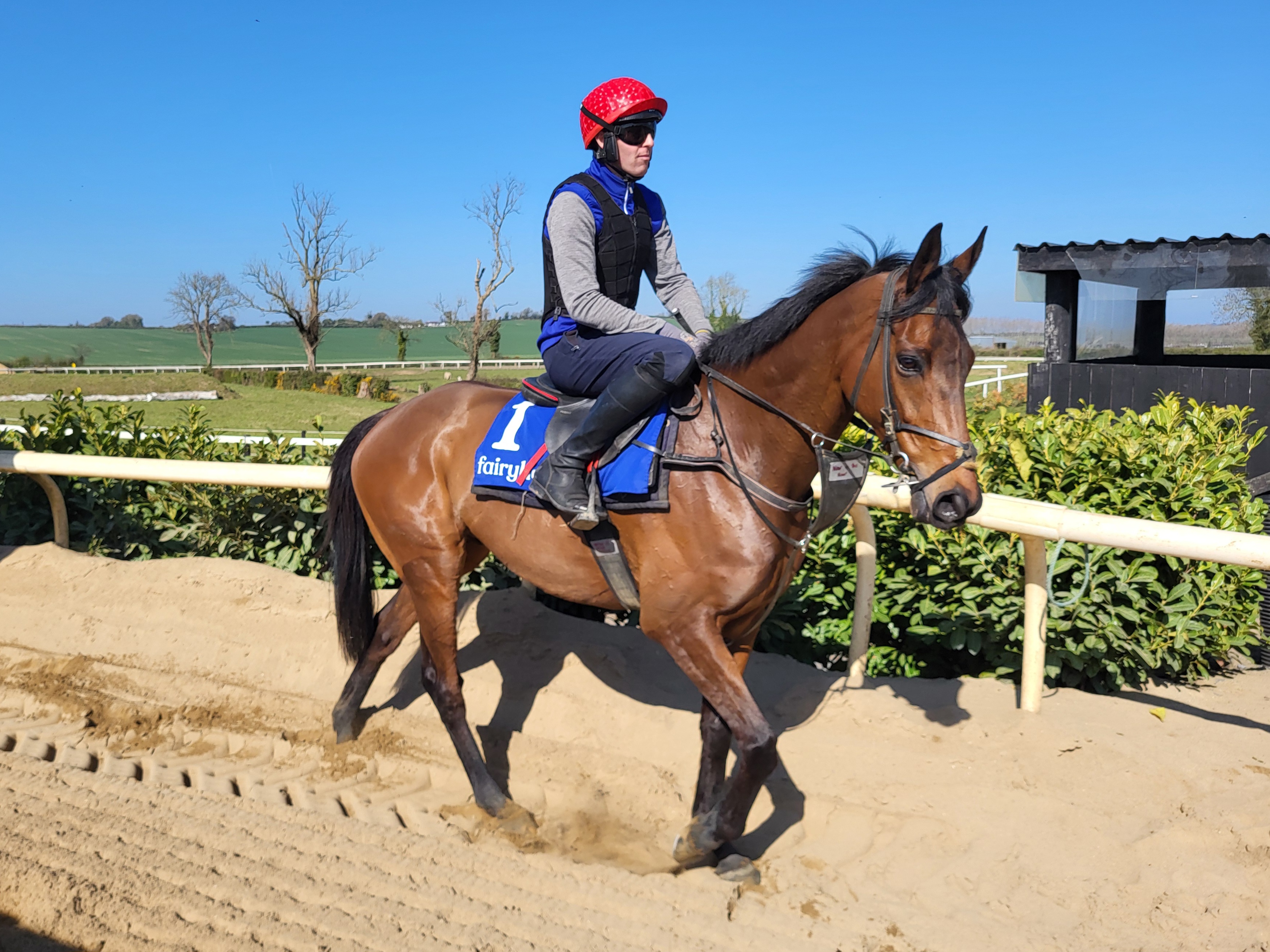 Now Is The Hour has gone 15lb in two runs without winning