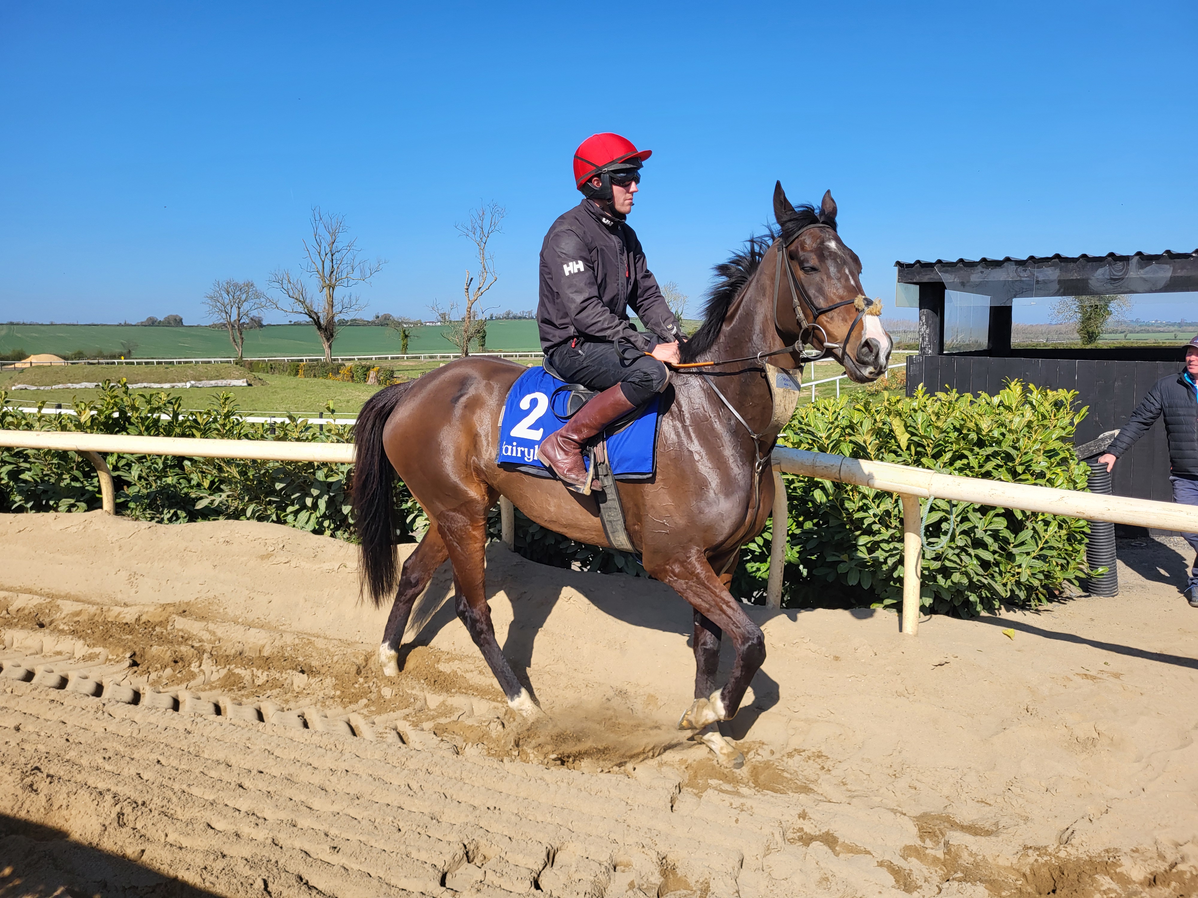 Yeah Man is back below the mark off which he won Haydock's National Trial