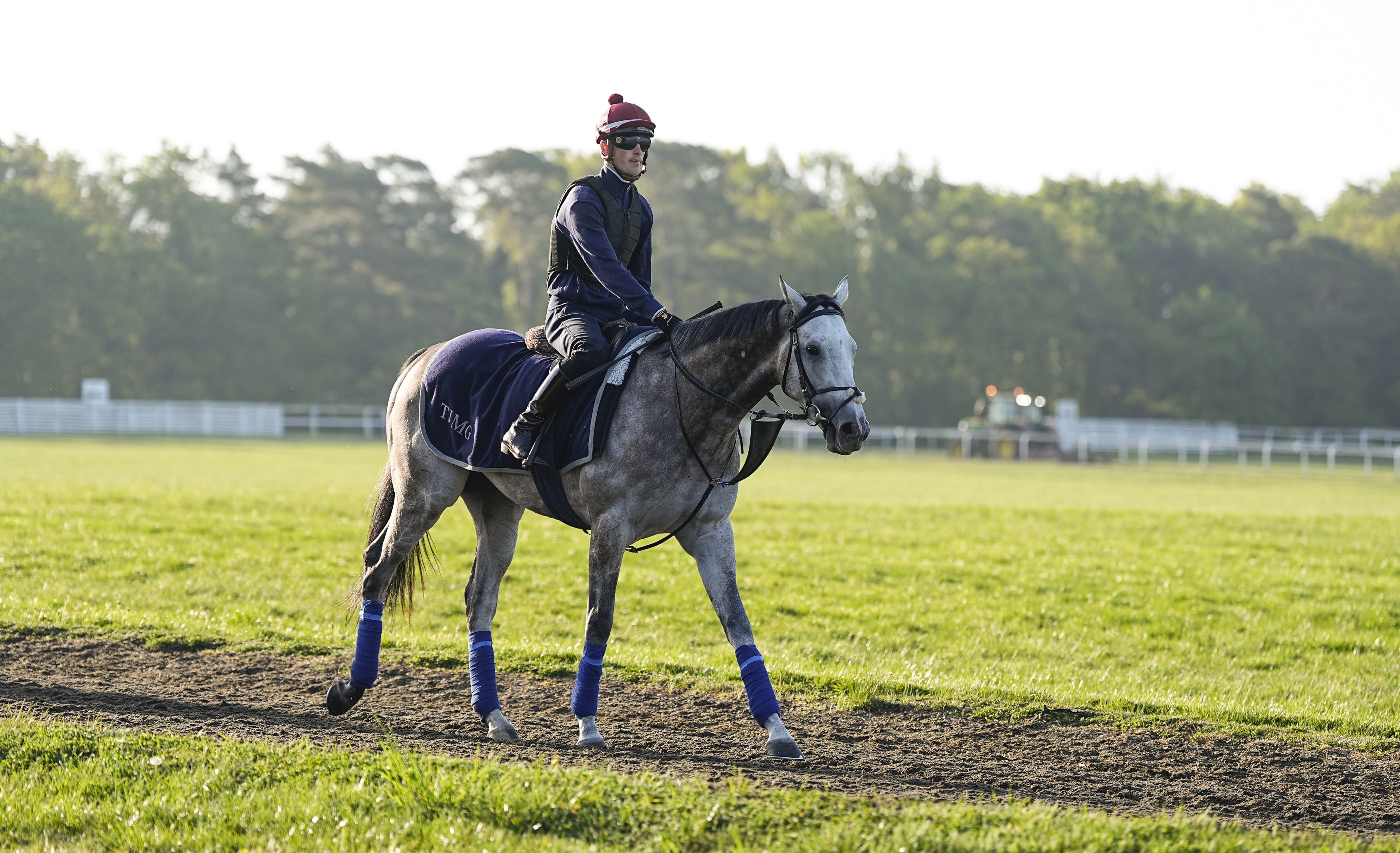 Field Of Gold on Warren Hill