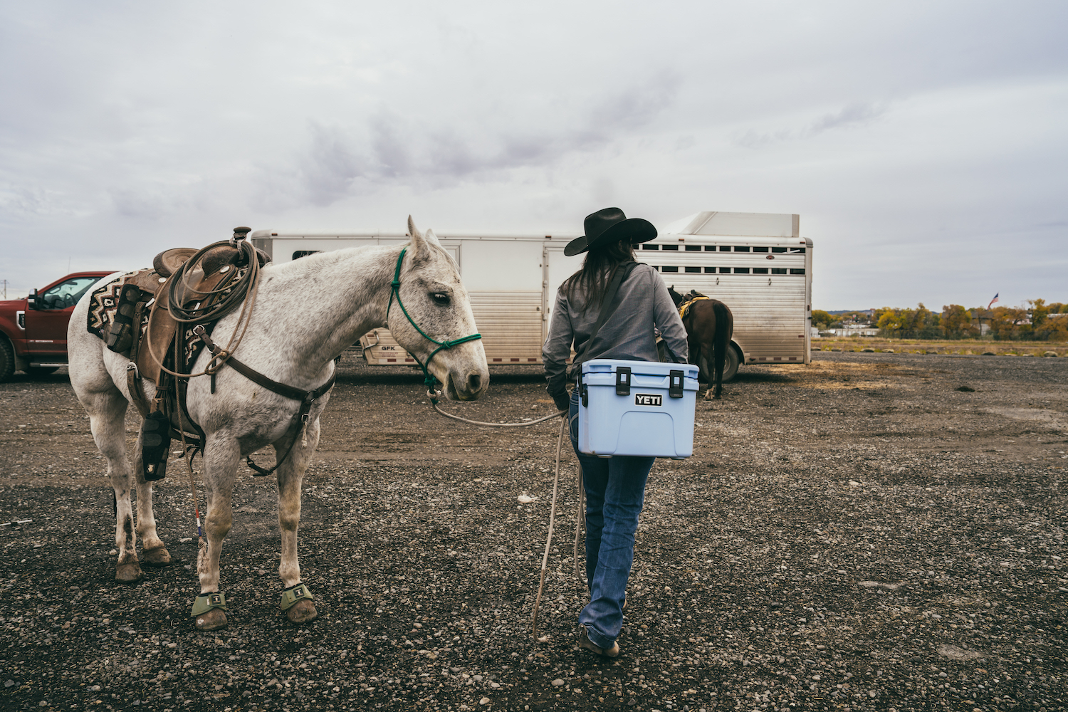 Yeti Roadie