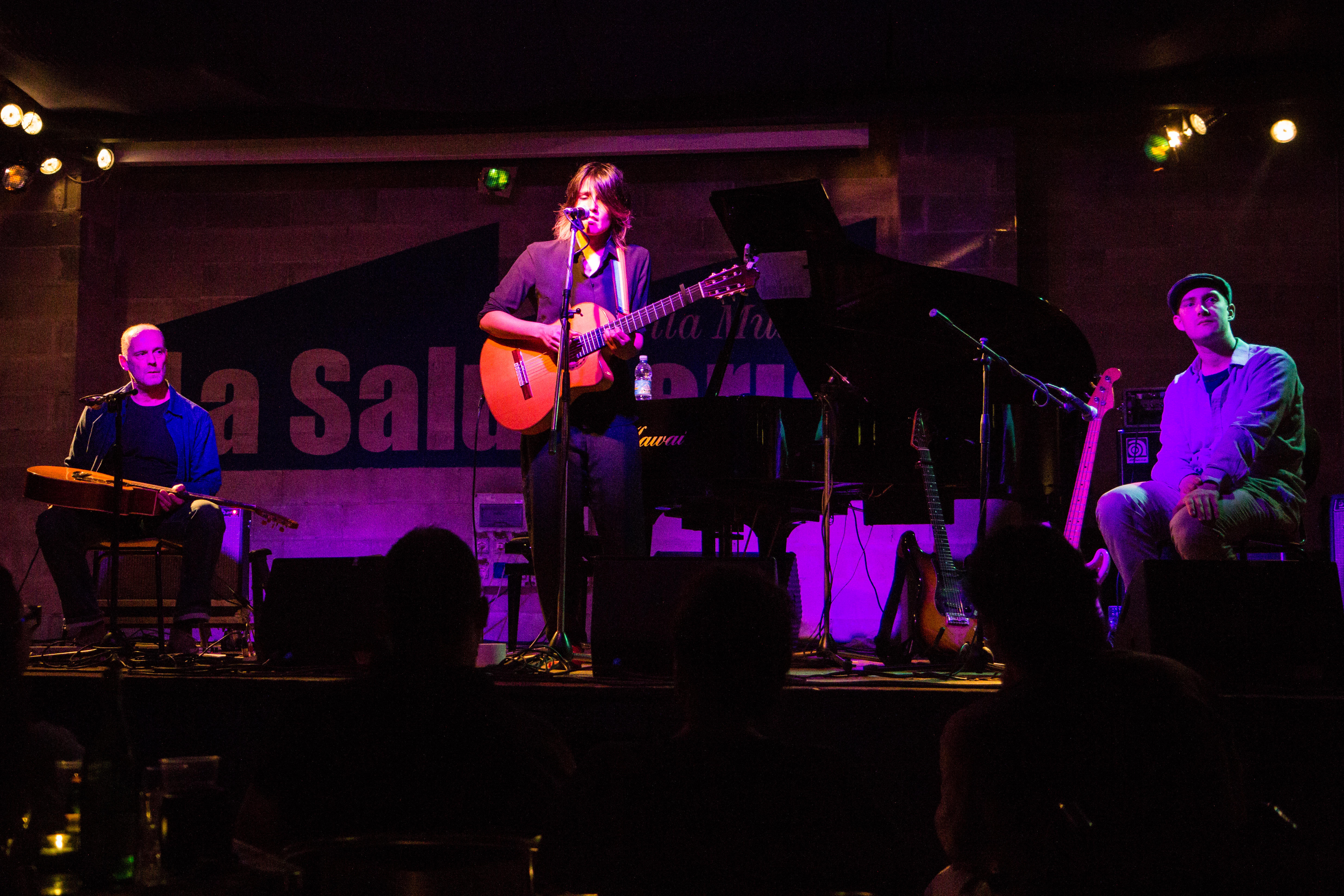 Tanita Tikaram in concert in 2011