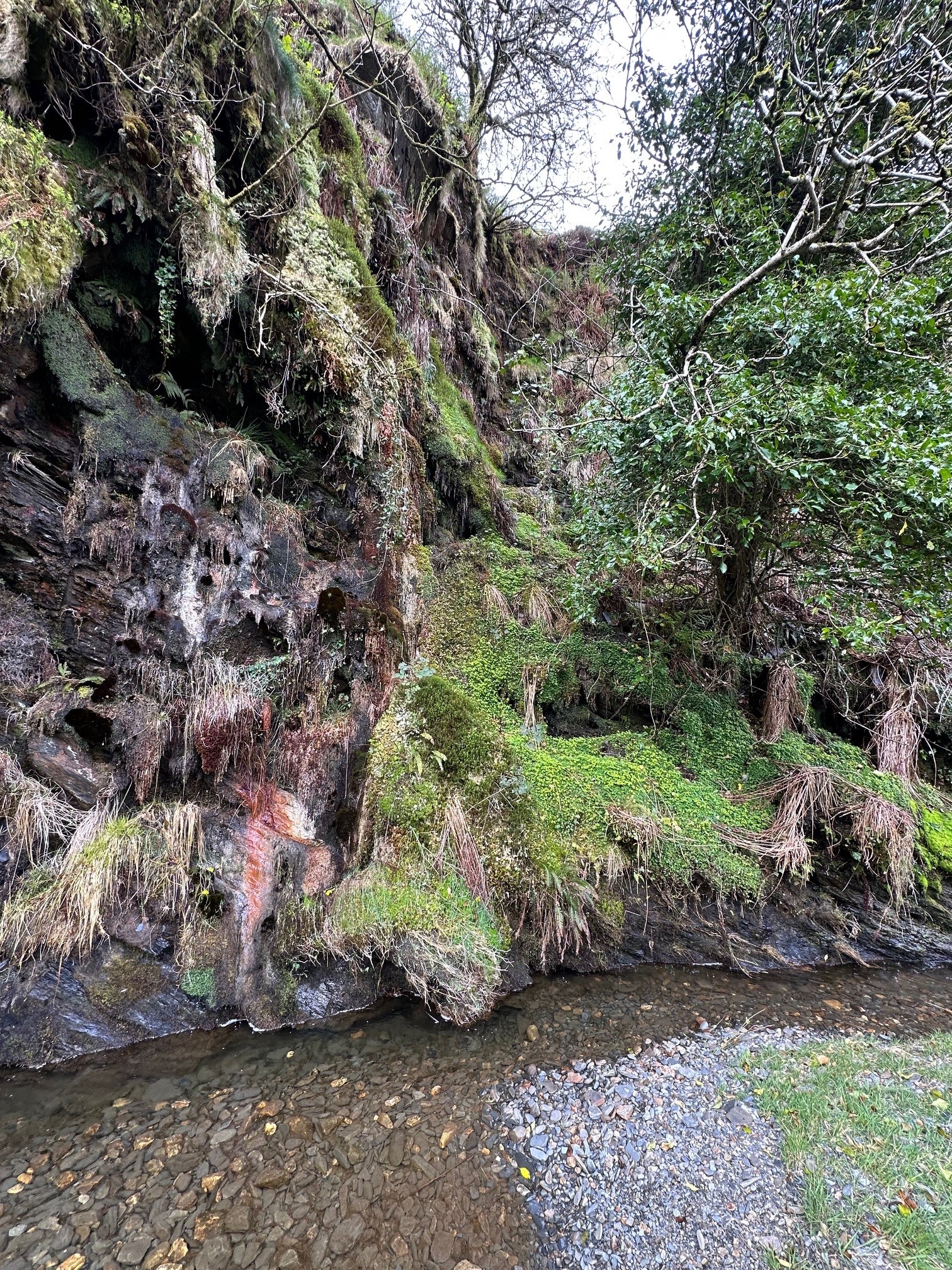moss and fern covered rocky crags above a stream at Glen Auldyn