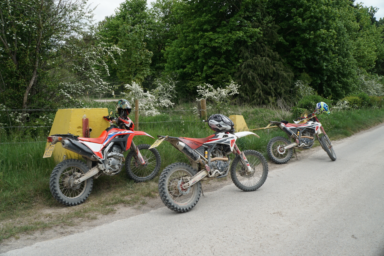 Salisbury Trail Riding