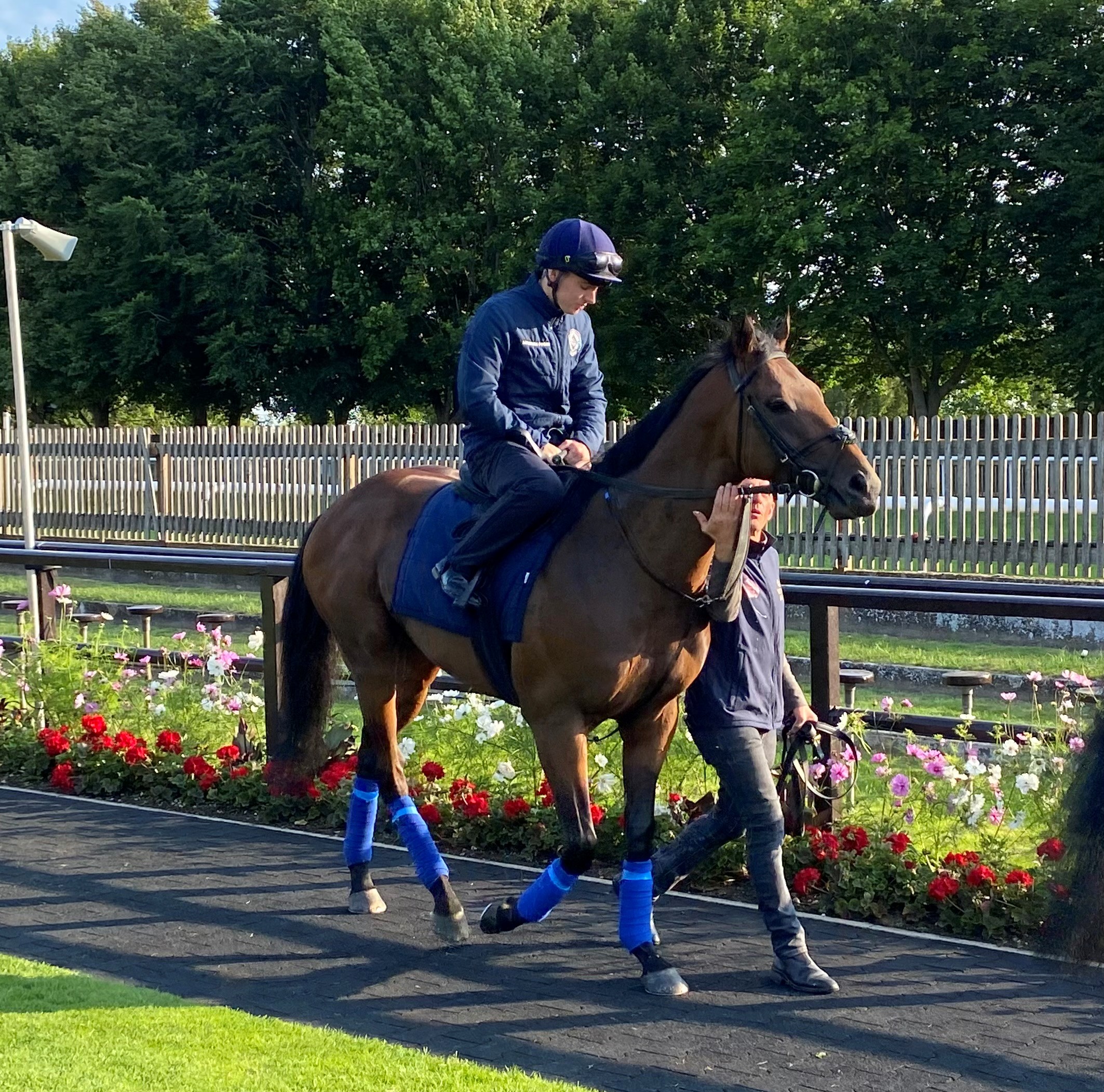 Colin Keane was in Newmarket to ride Lead Artist on Wednesday