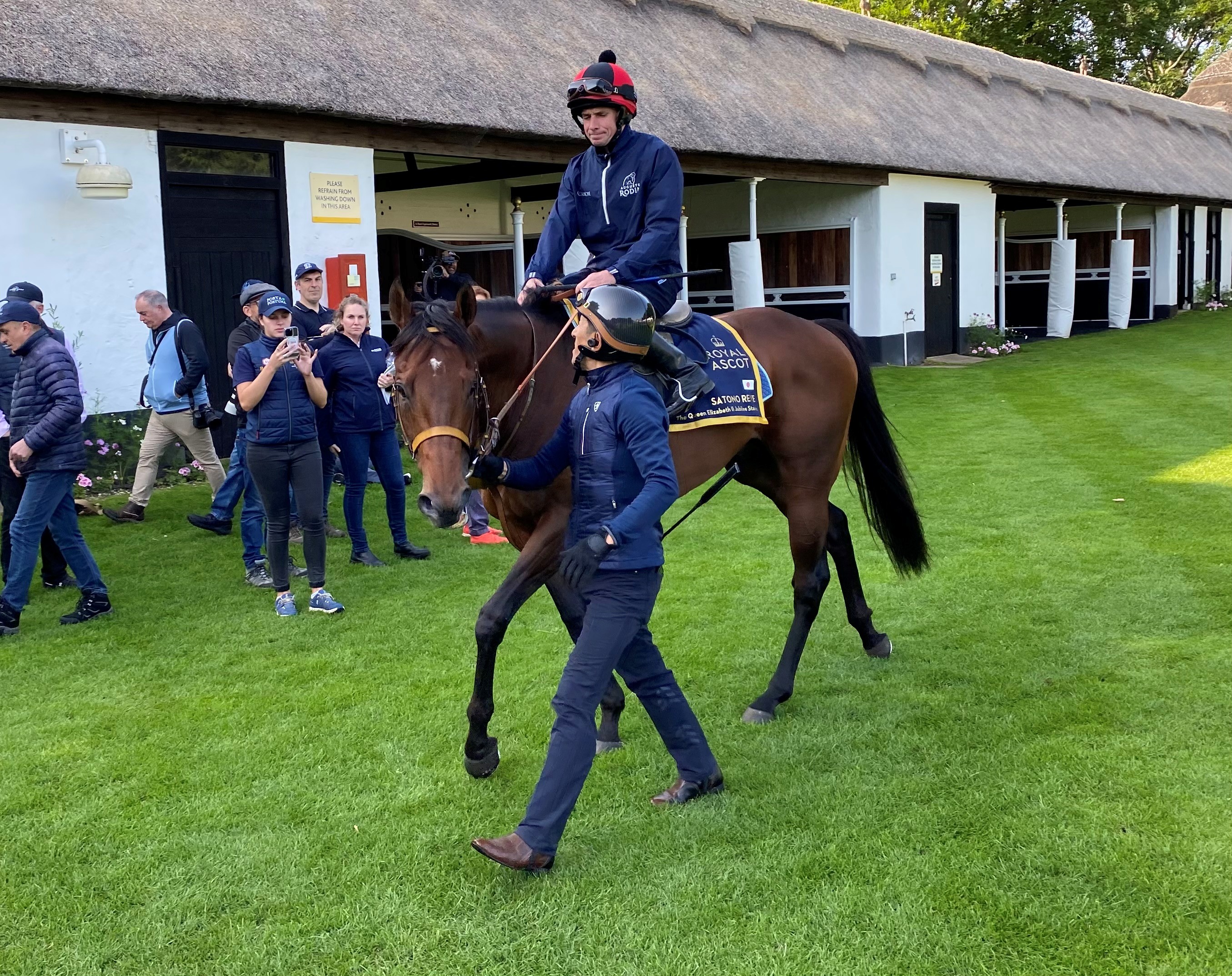 Satono Reve carries Japanese hopes at Royal Ascot