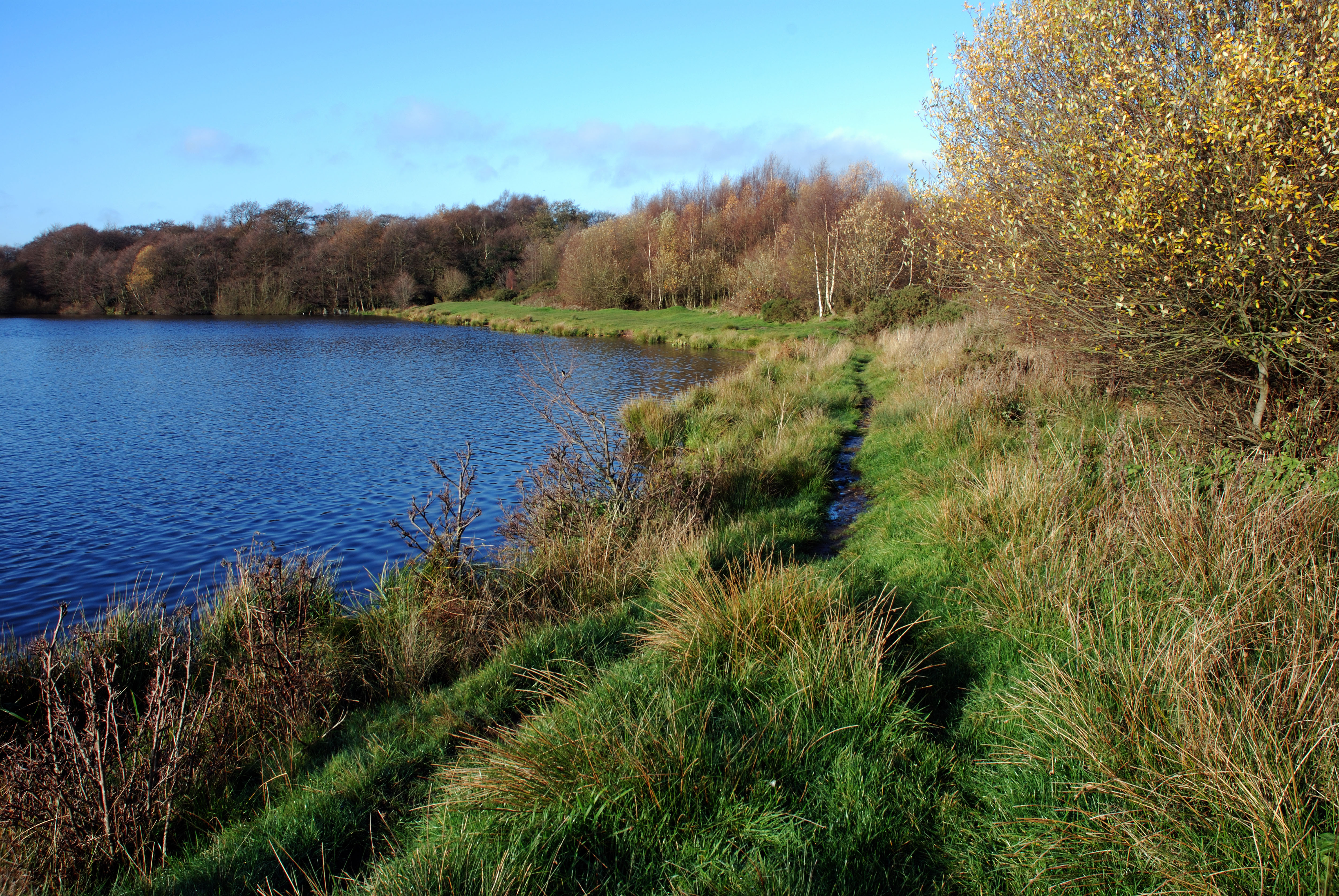 Powell's Pool in Sutton Park