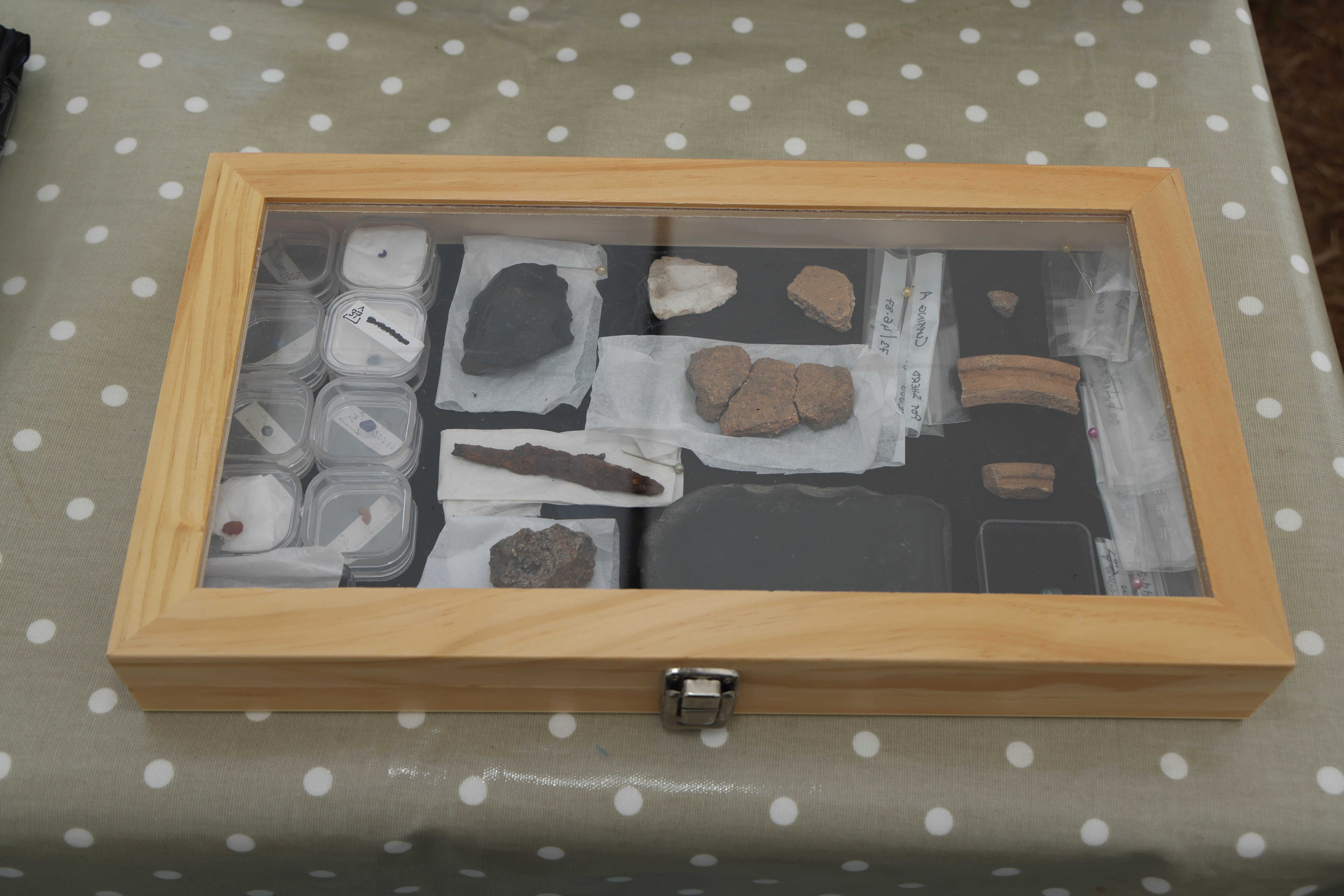 Collection of ancient items in a wooden box with glass lid