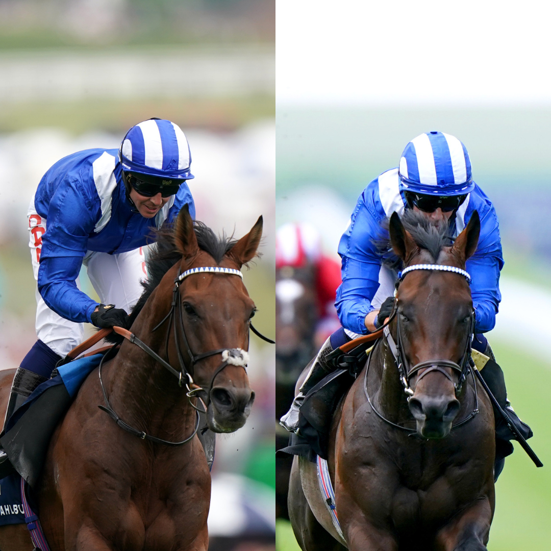 Raaheeb is a brother of Hukum (left) and Baaeed