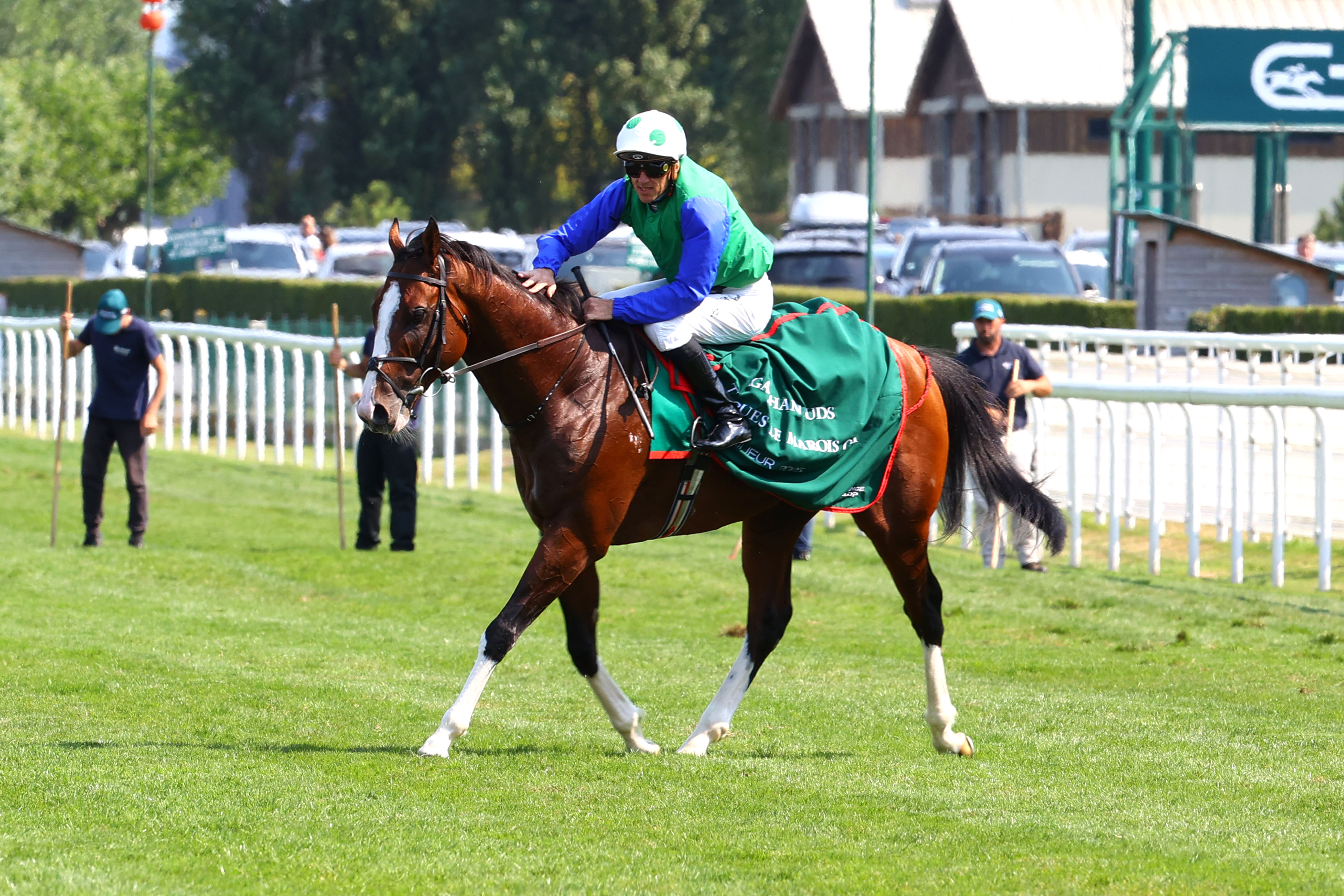 Diego Velazquez will join the National Stud in 2026