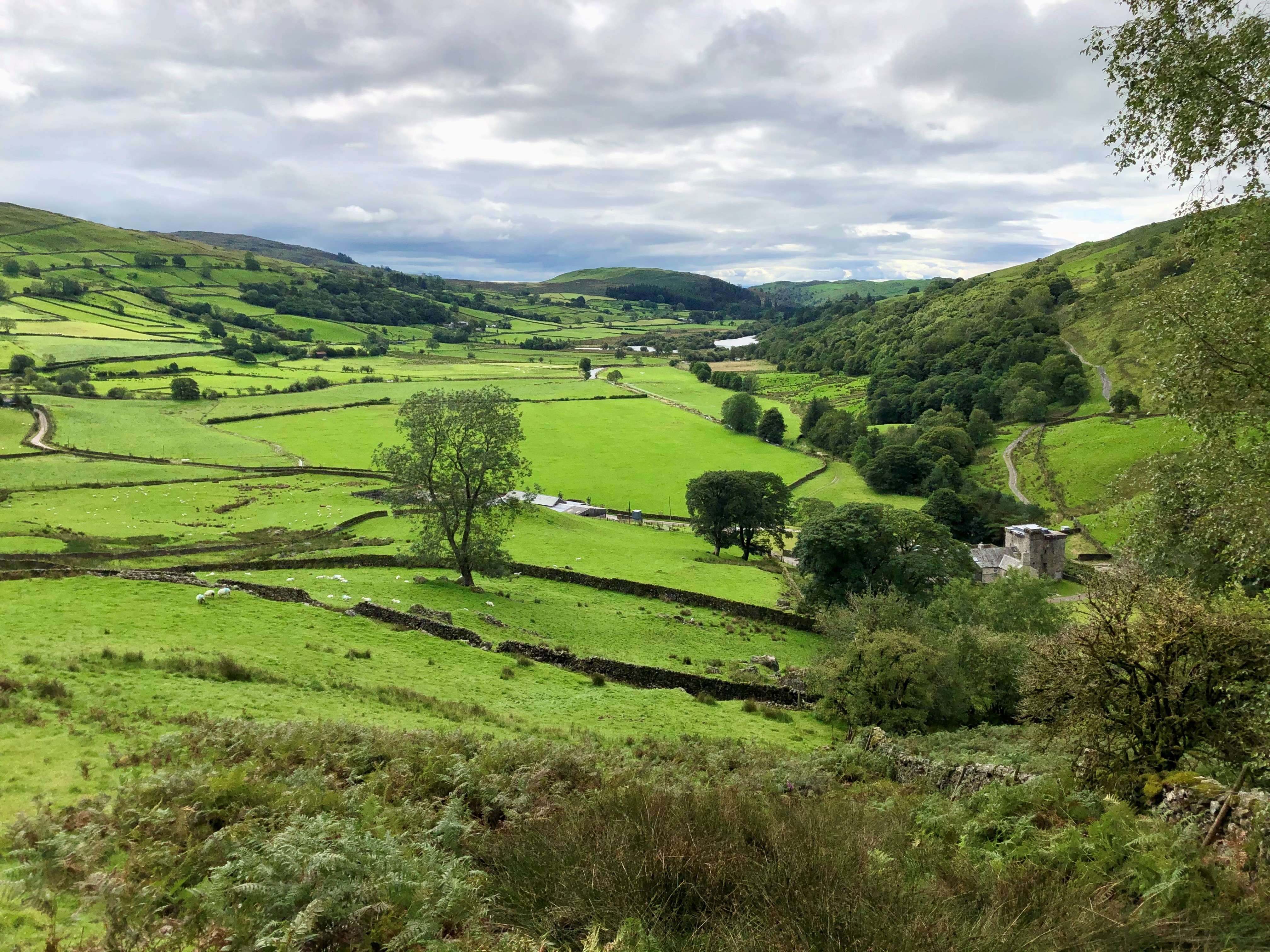 A landscape in the Lake District, with green fields, tees and hills under a cloudy sky