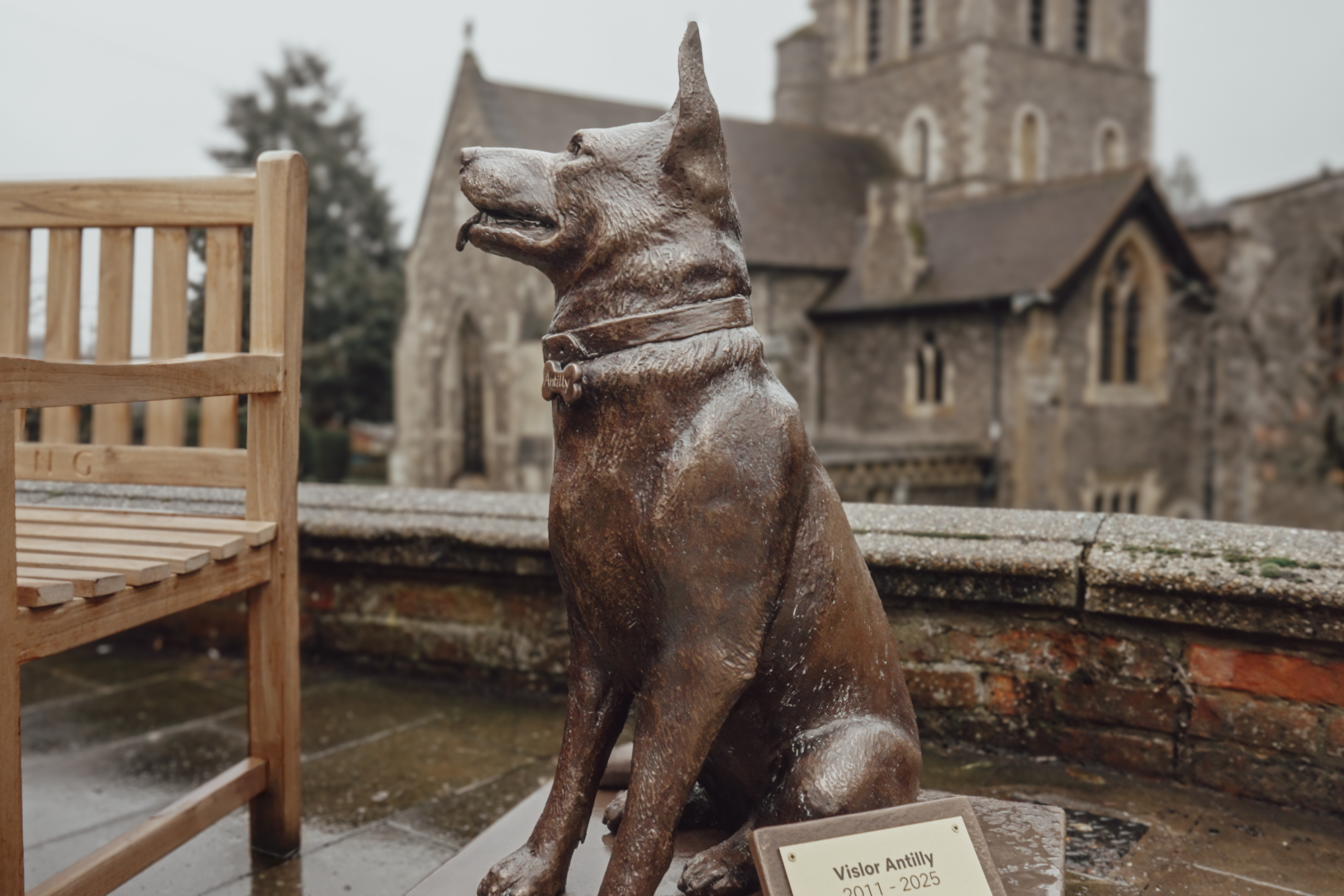After Life dog statue in town centre