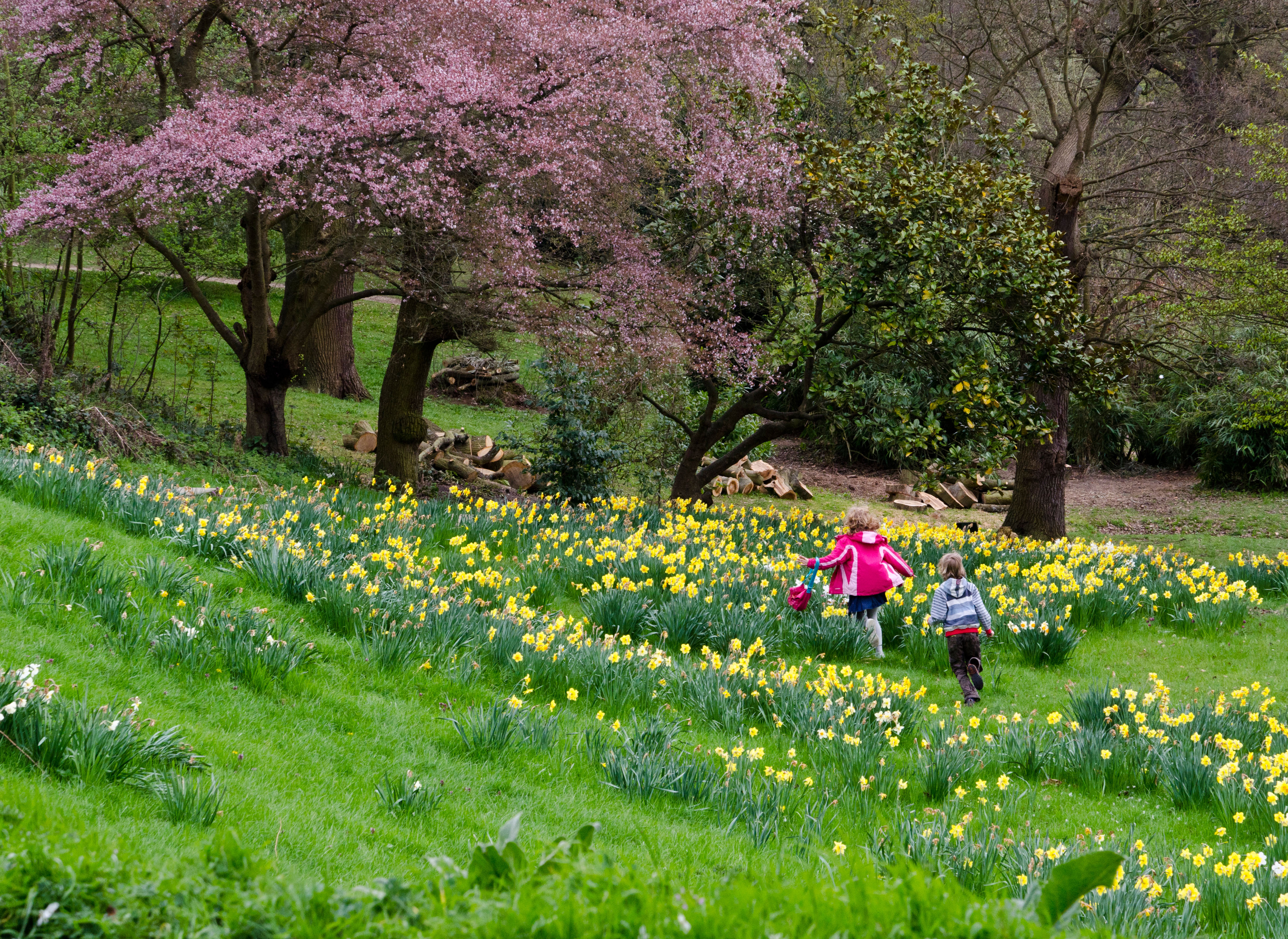 Children running across a park