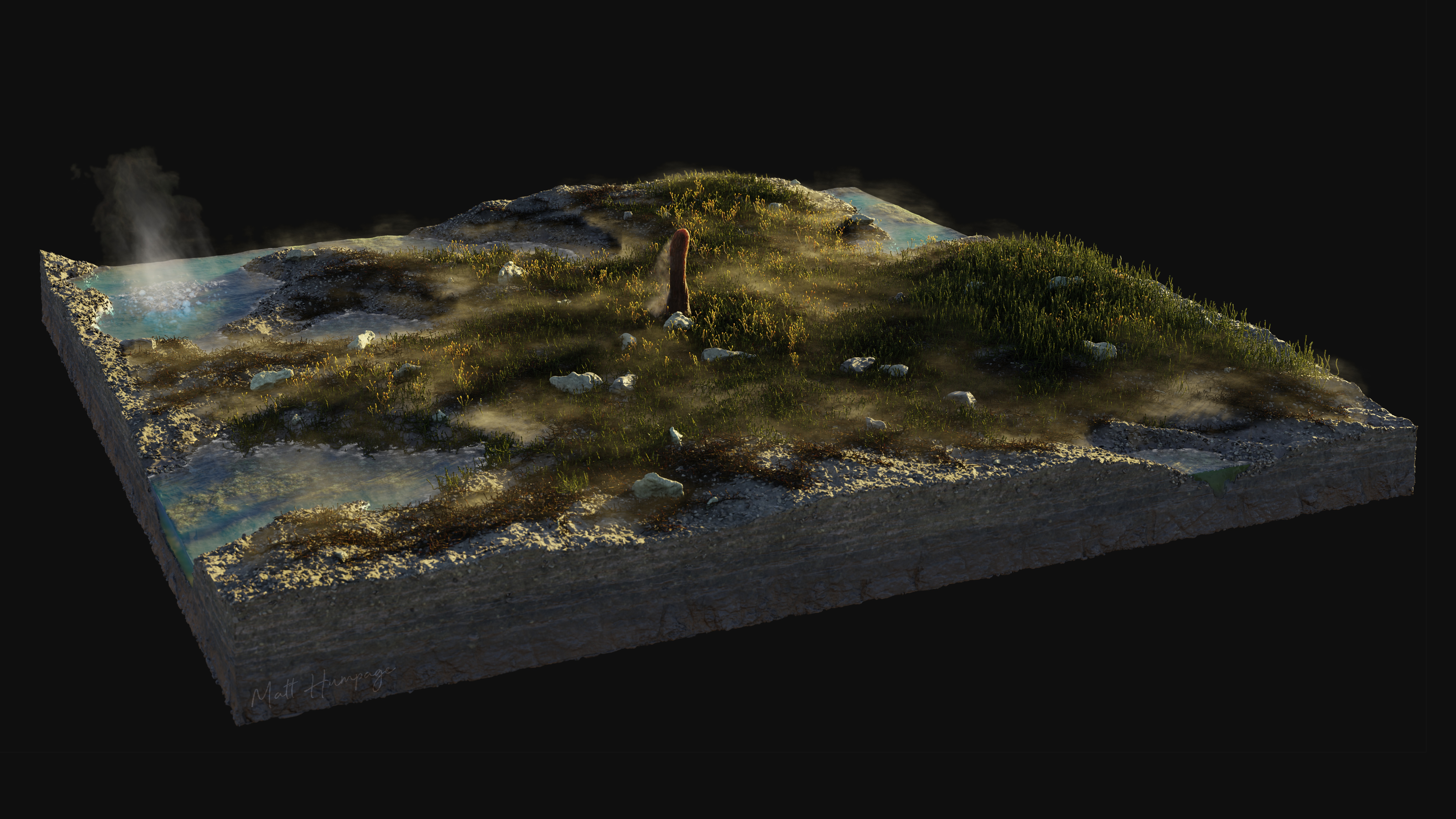 The Rhynie Chert - a palaeoenvironment reconstruction