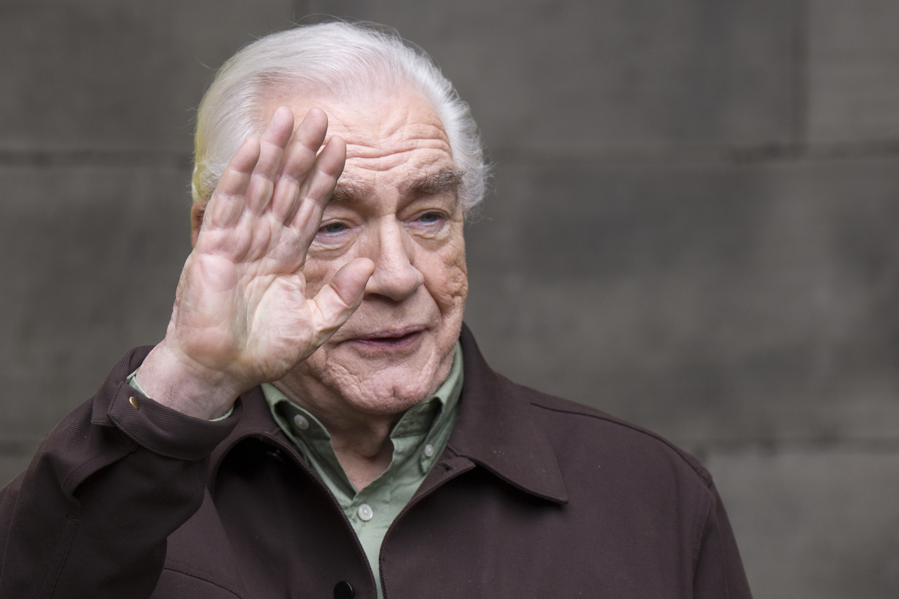 Actor Brian Cox waves to crowds